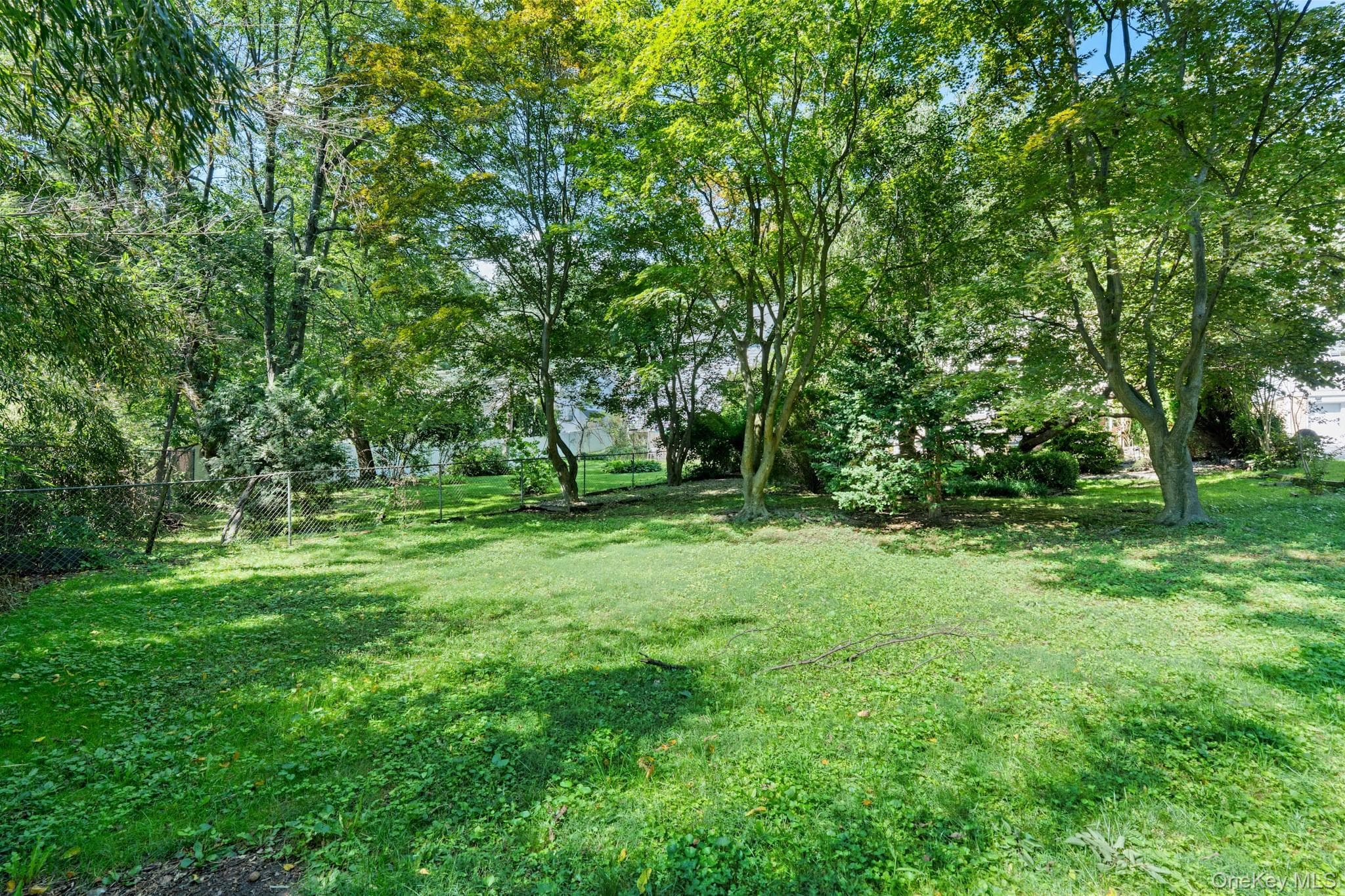 141 Homewood Avenue thumbnail 37