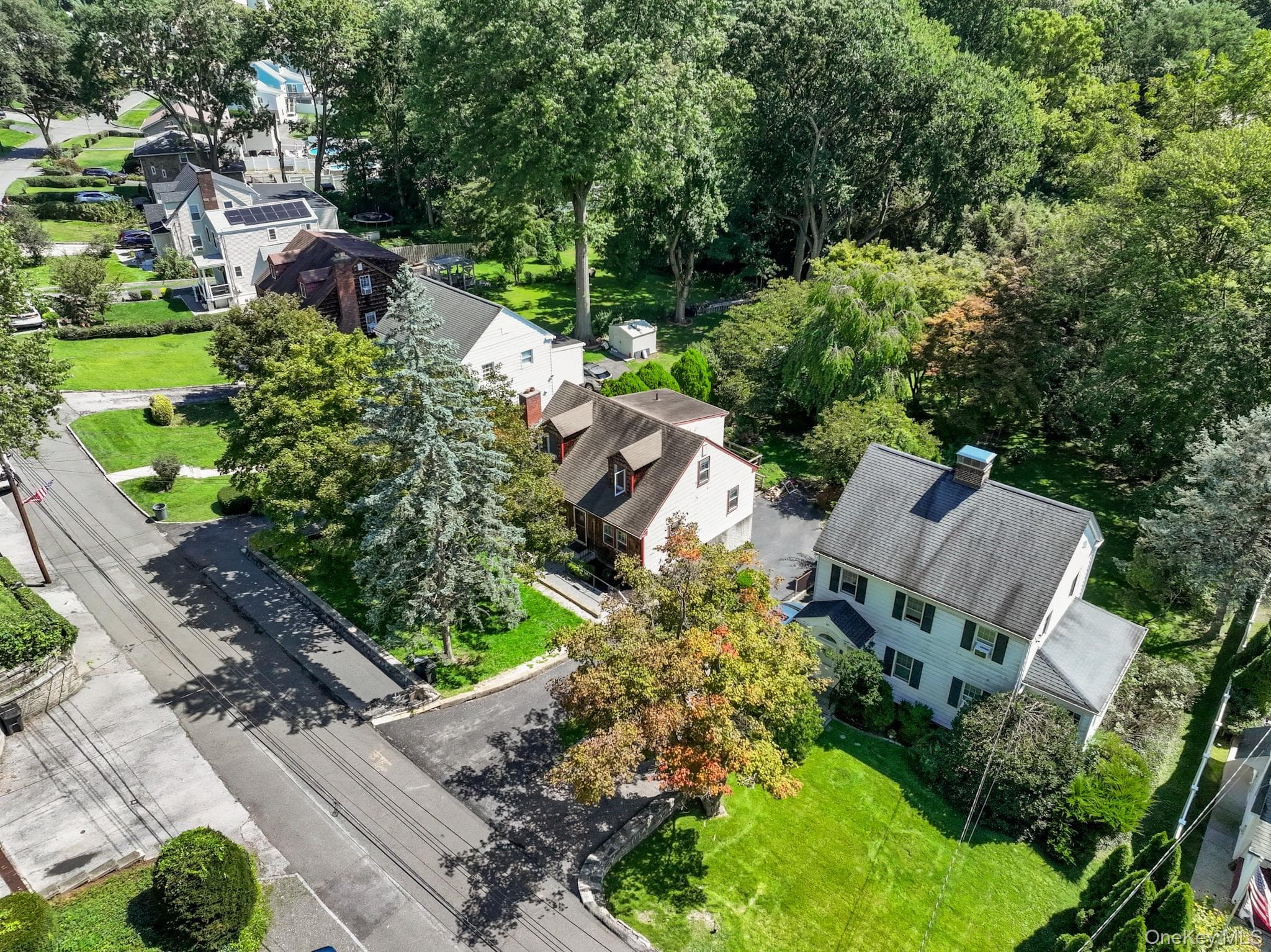 141 Homewood Avenue thumbnail 38