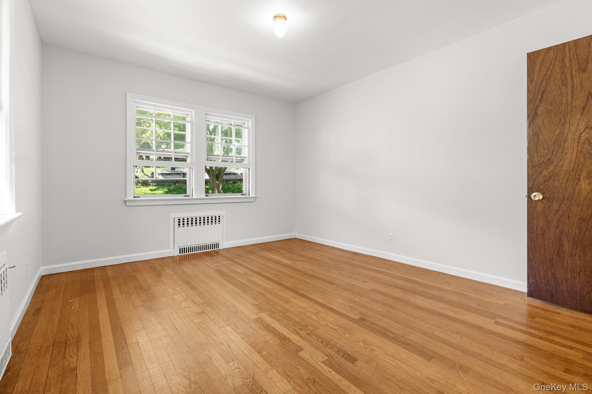 141 Homewood Avenue thumbnail 22