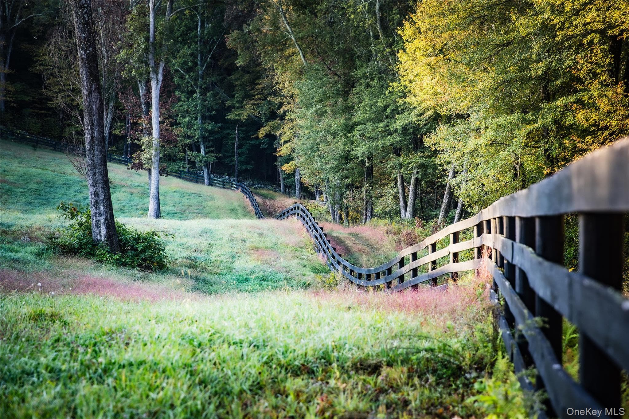 Ruskey Lane thumbnail 9