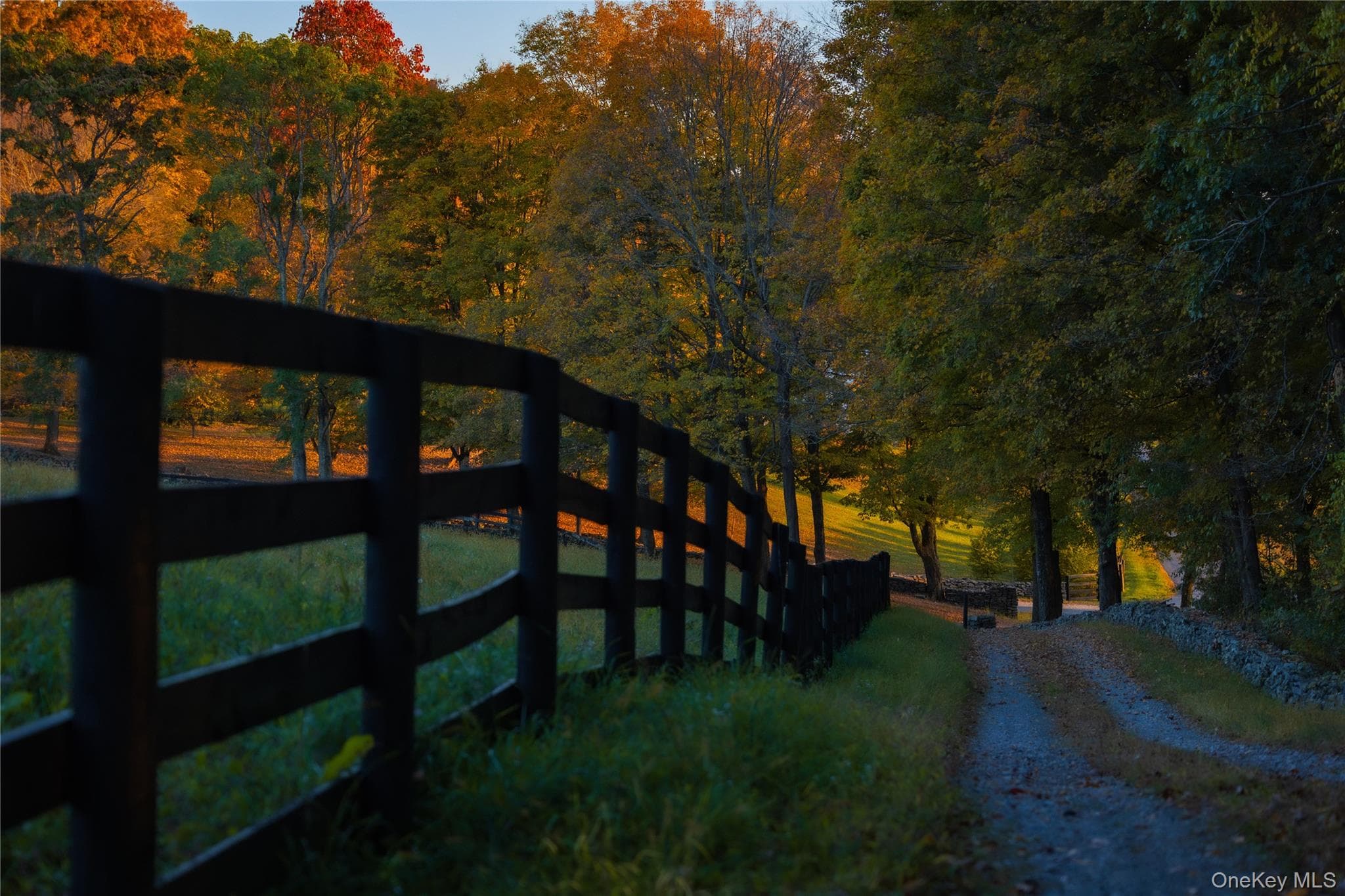 Ruskey Lane thumbnail 5