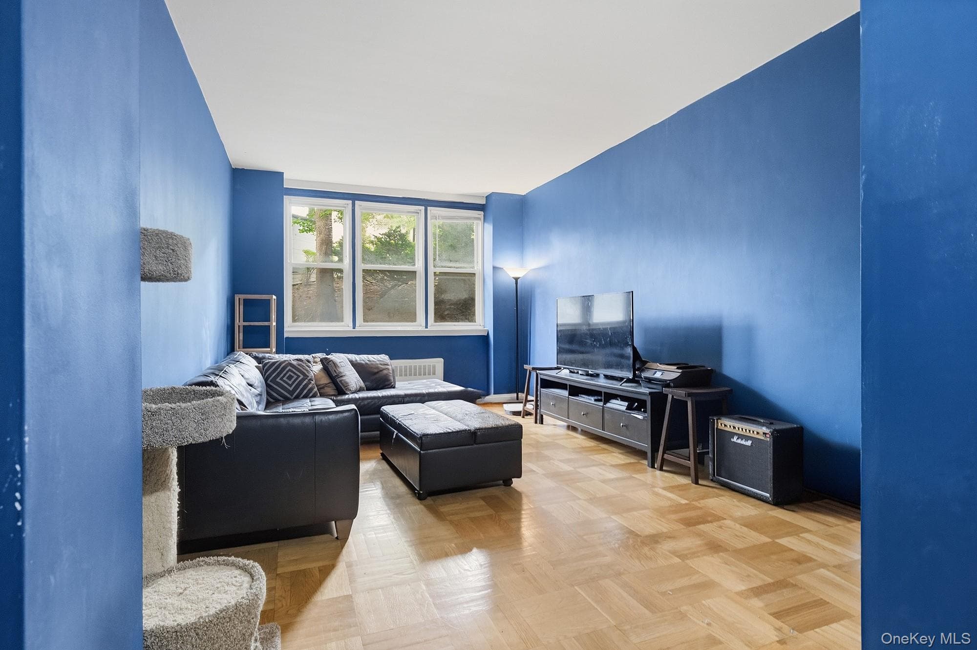 55 Knolls Crescent Unit: 1C thumbnail 2