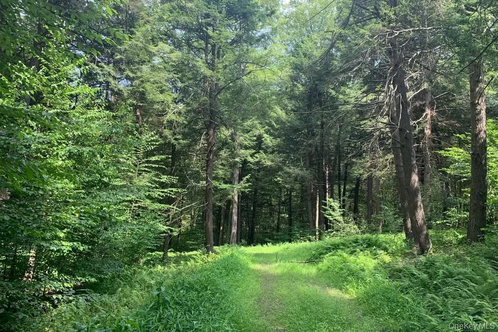 Lot 23 Woodstone Trail thumbnail 7