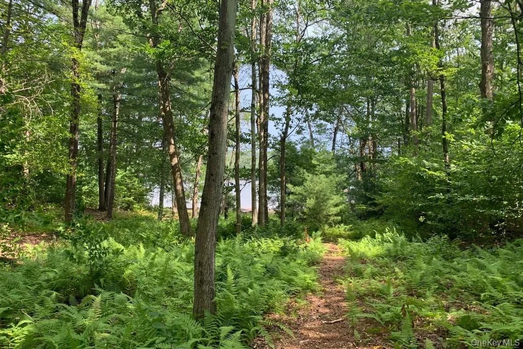 Lot 23 Woodstone Trail thumbnail 4