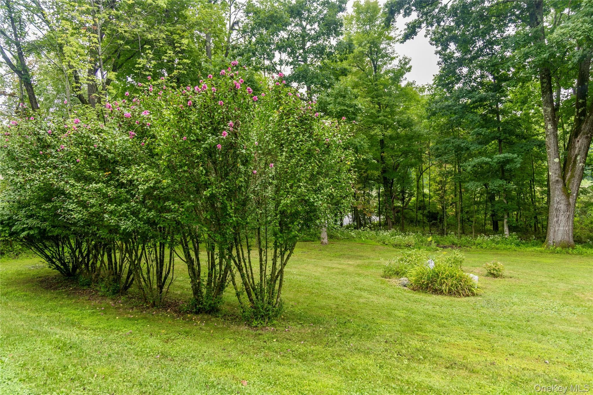 60 Briarwood Lane thumbnail 44