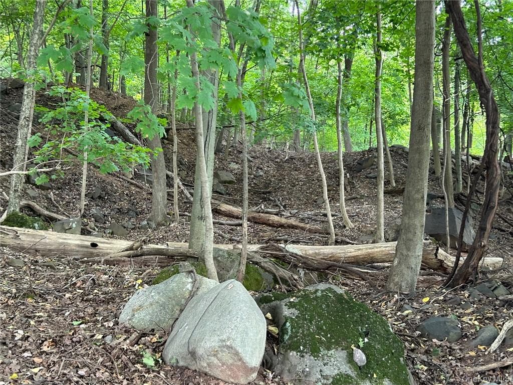 63 Westside Avenue thumbnail 8