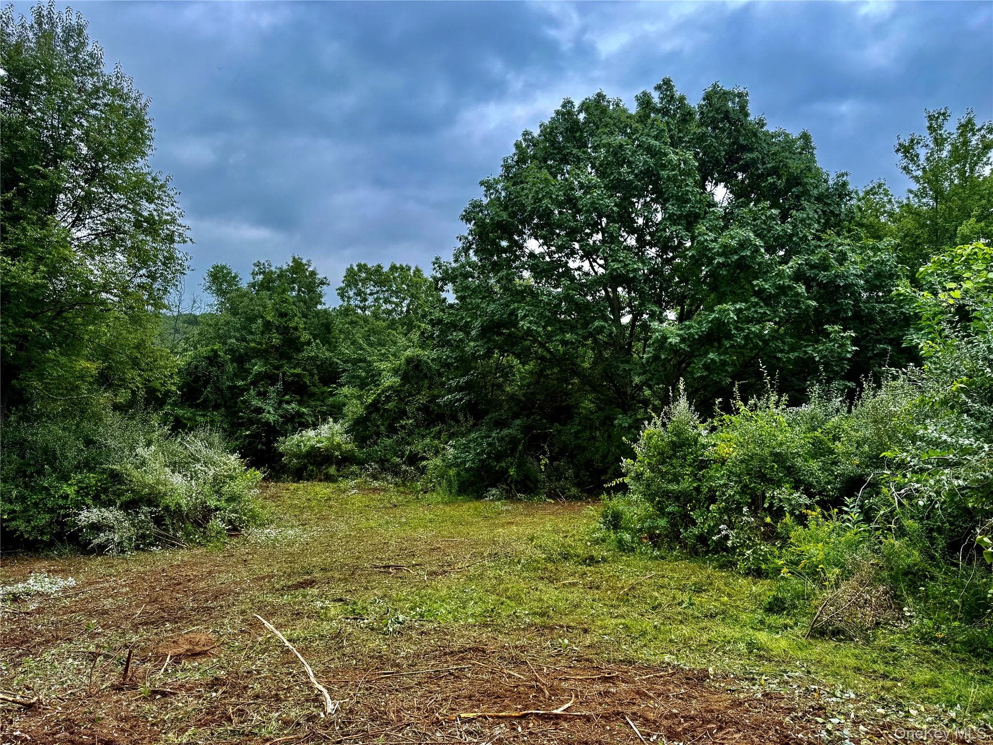 150 Weaver Road thumbnail 6