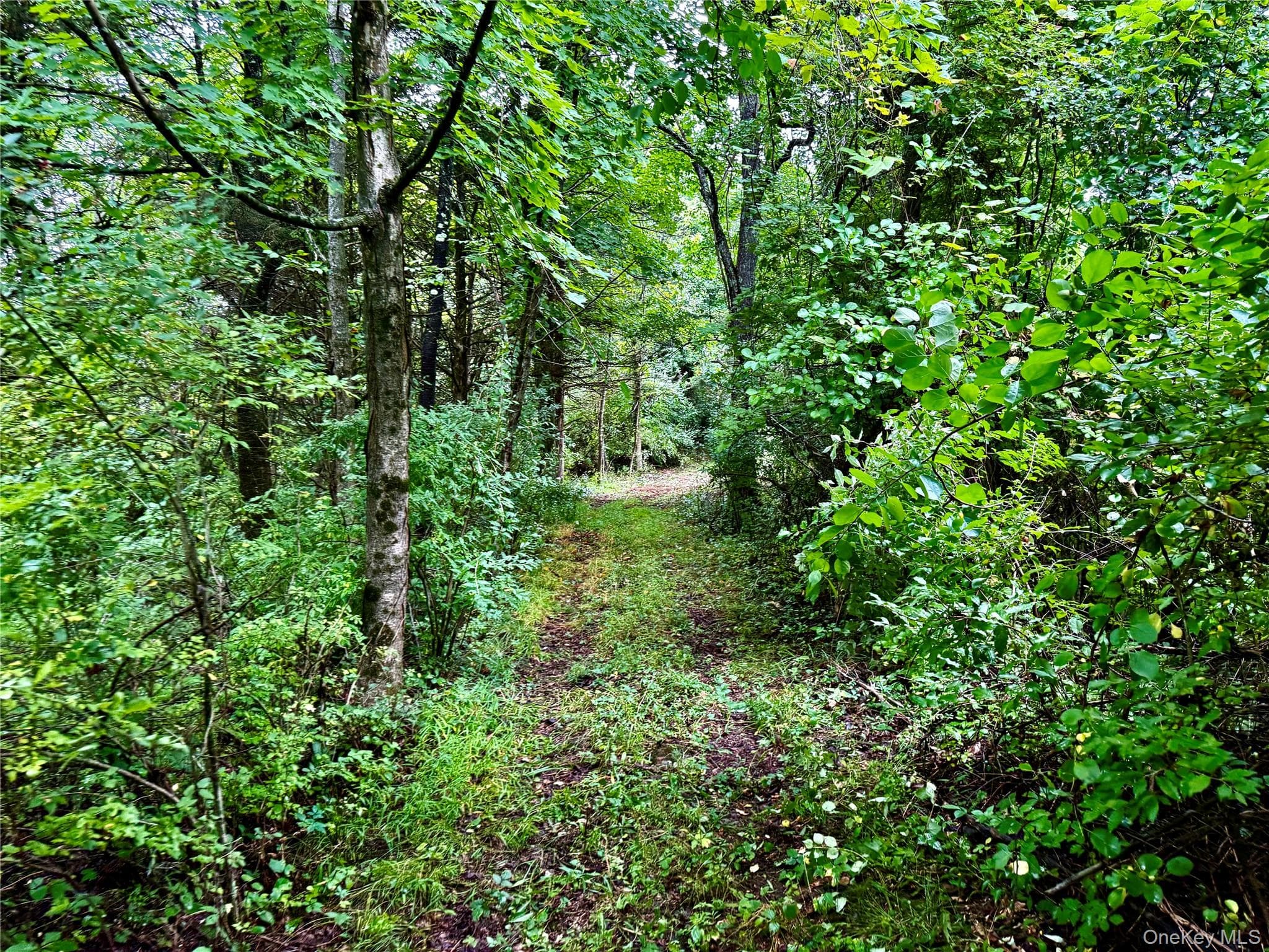 150 Weaver Road thumbnail 5