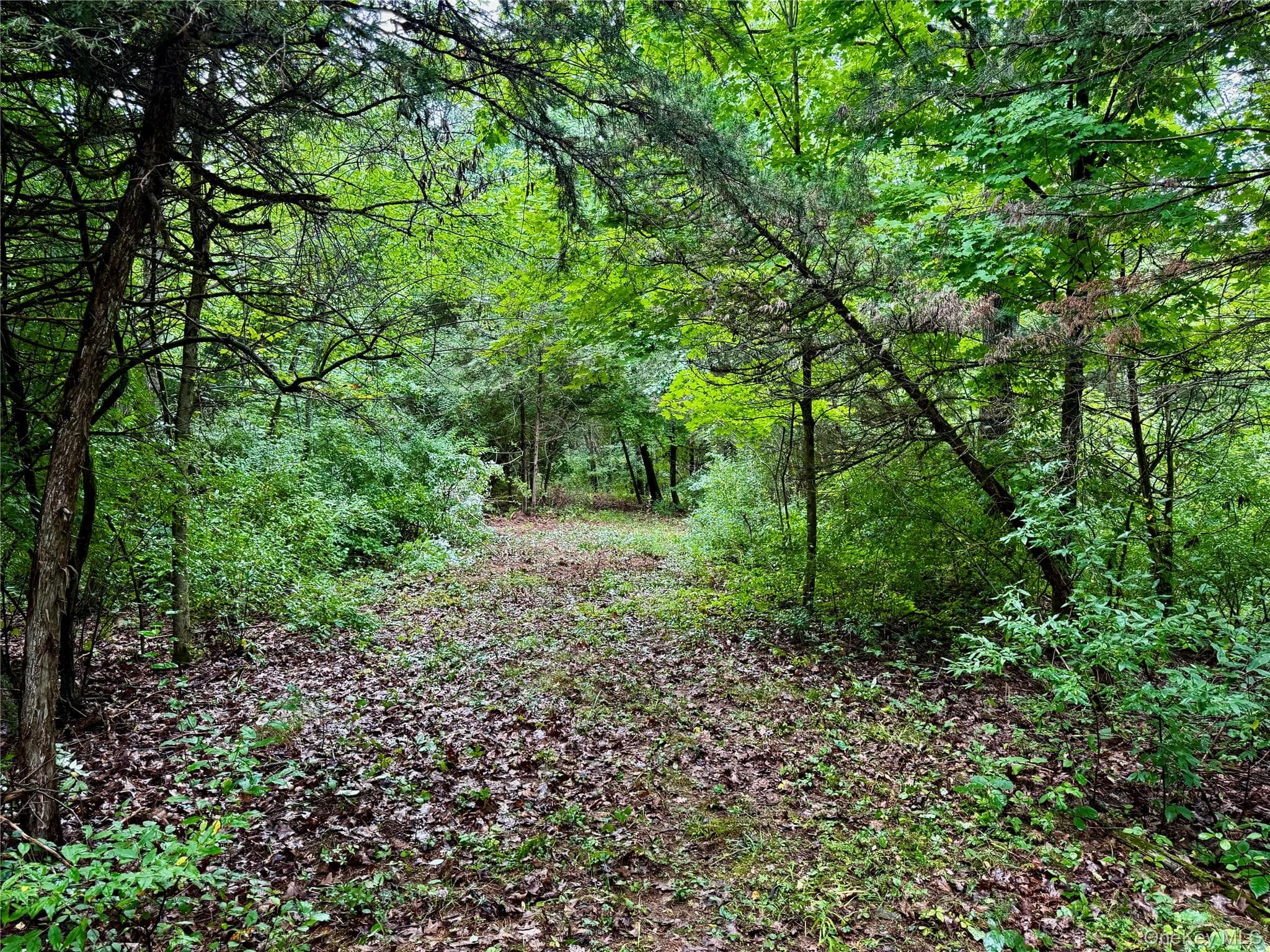 150 Weaver Road thumbnail 9