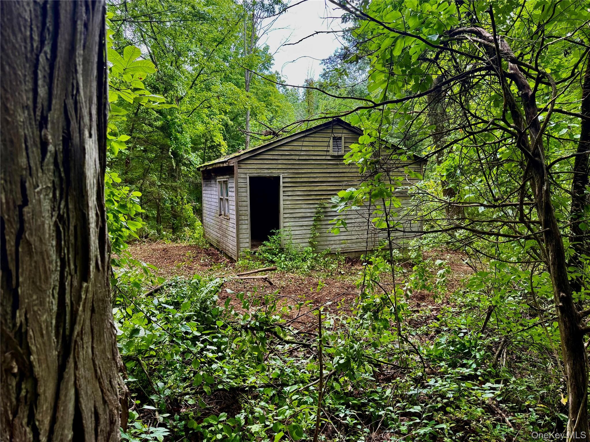 150 Weaver Road thumbnail 2