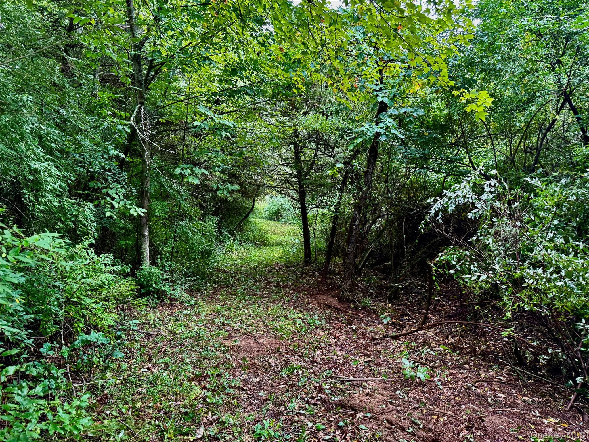 150 Weaver Road thumbnail 7