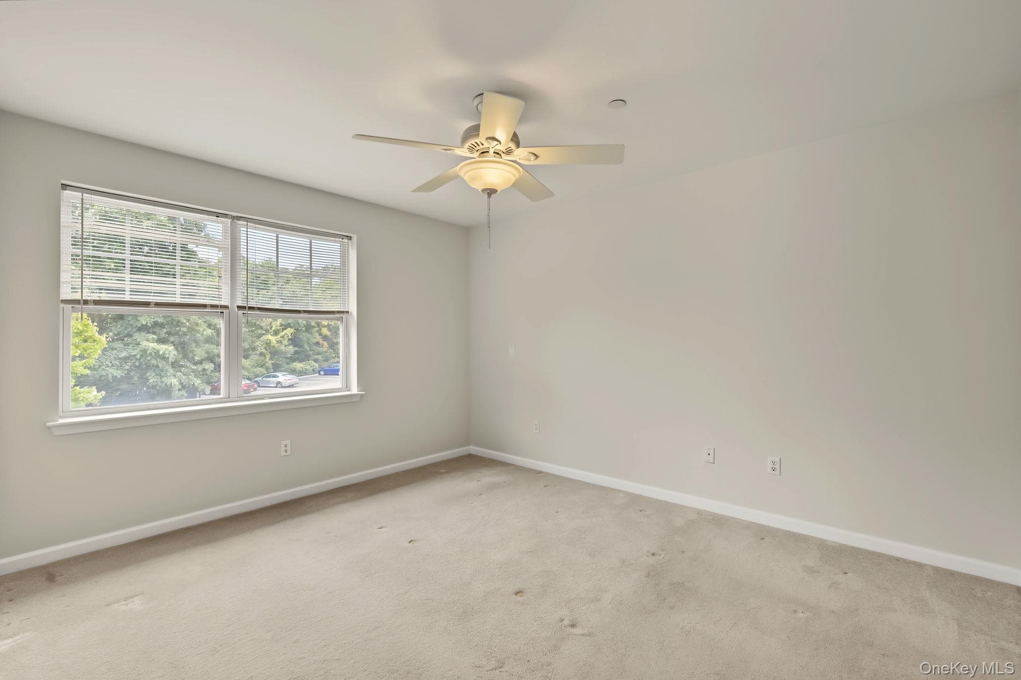 100 Woodcrest Lane Unit: 124 thumbnail 13