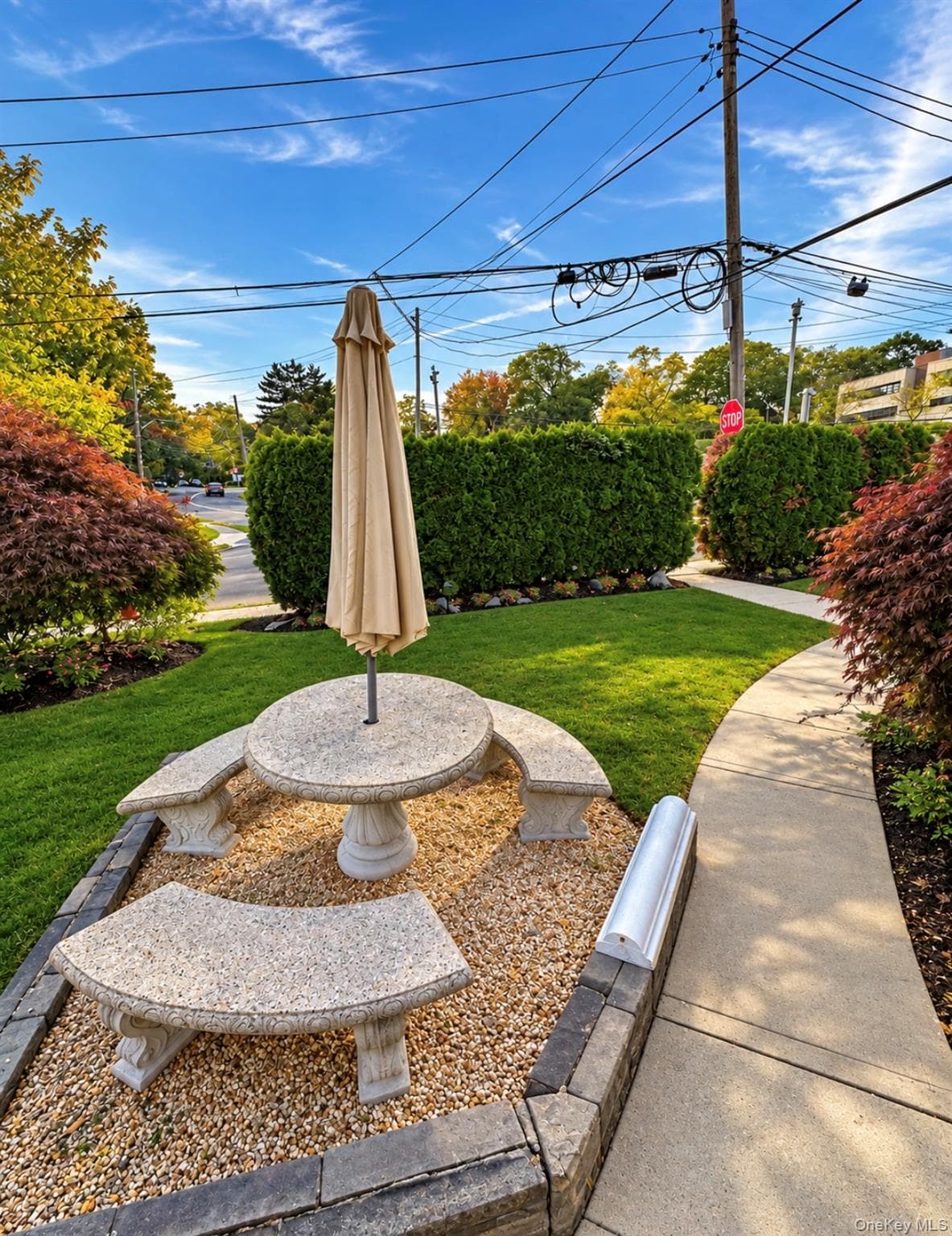 138 Edgecliff Terrace thumbnail 9