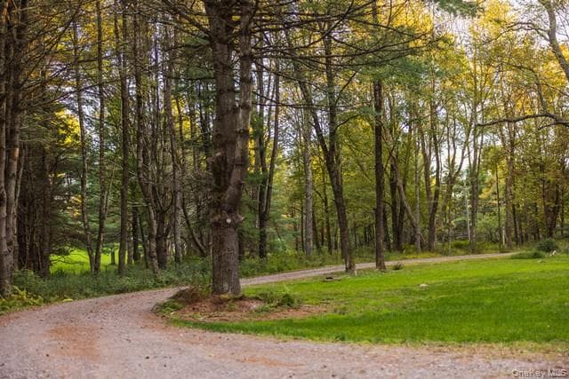 55 Chapin Trail Trl thumbnail 30