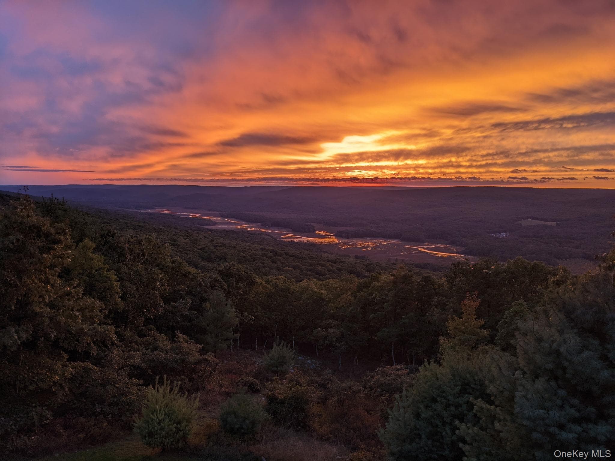 96 Treetops Trail thumbnail 36