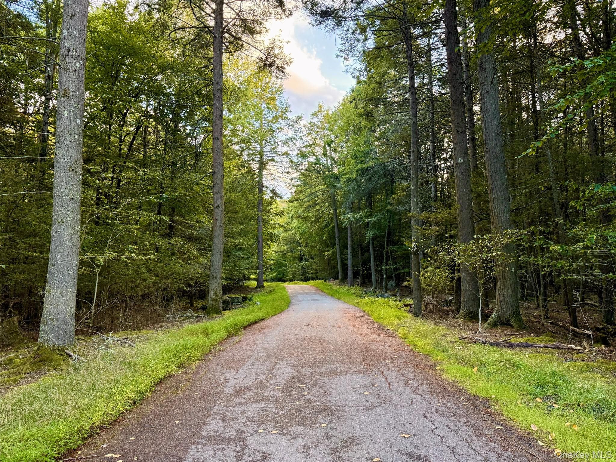 Orange Avenue, Smallwood