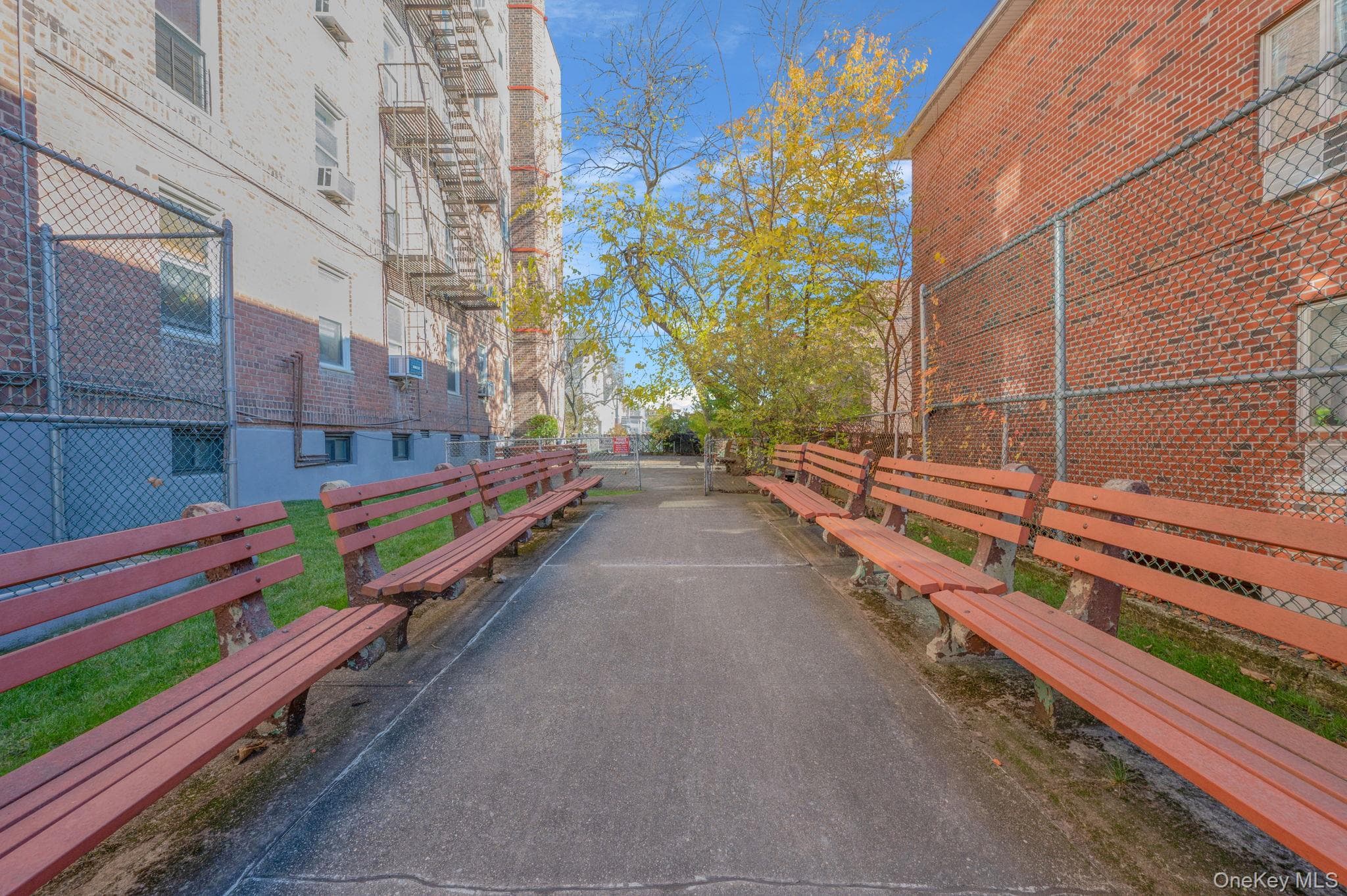 2552 E 7 Street Unit: 1H thumbnail 3