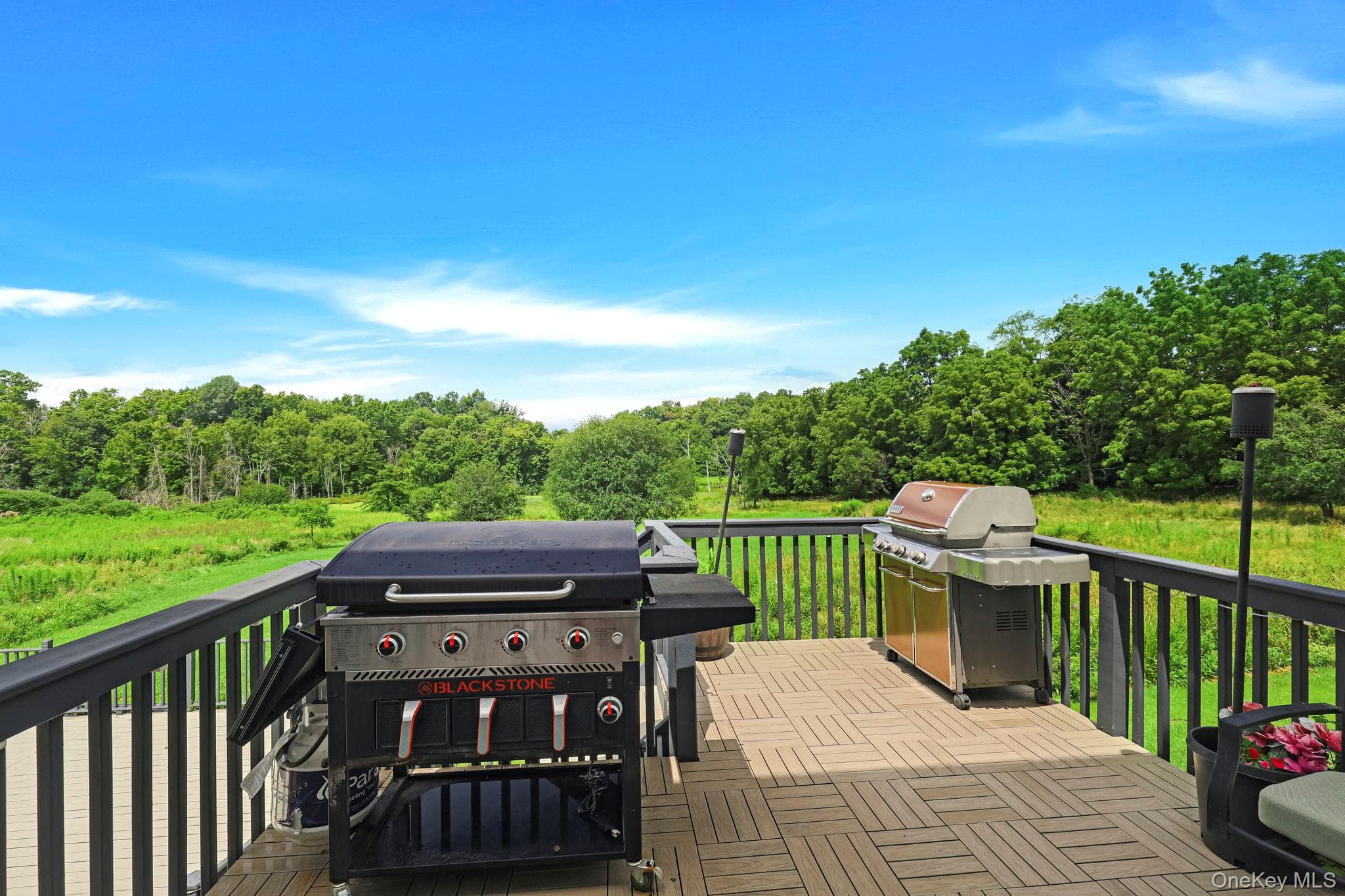 643 Ridgebury Road thumbnail 46