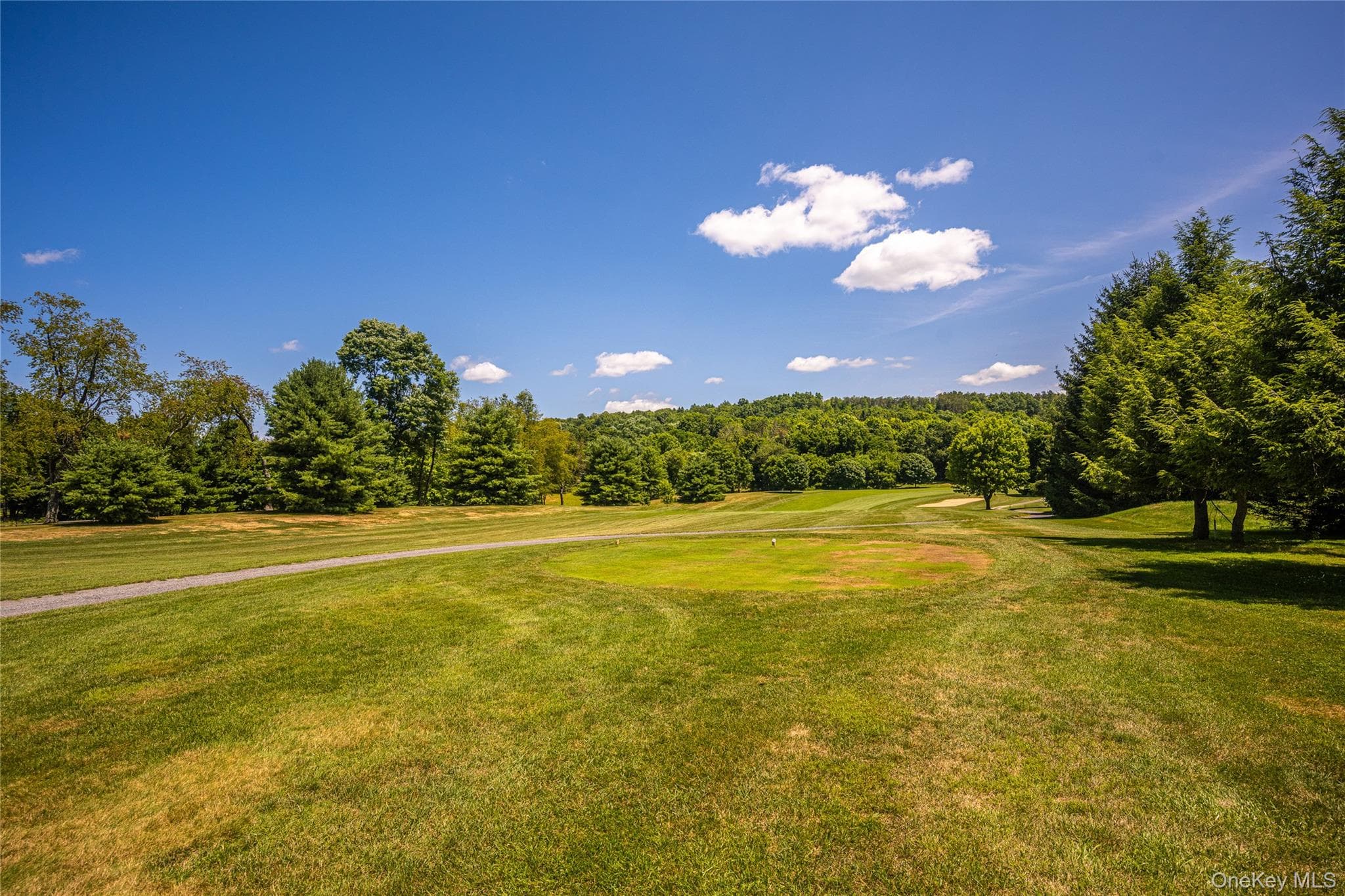 66 Tee Lane thumbnail 6
