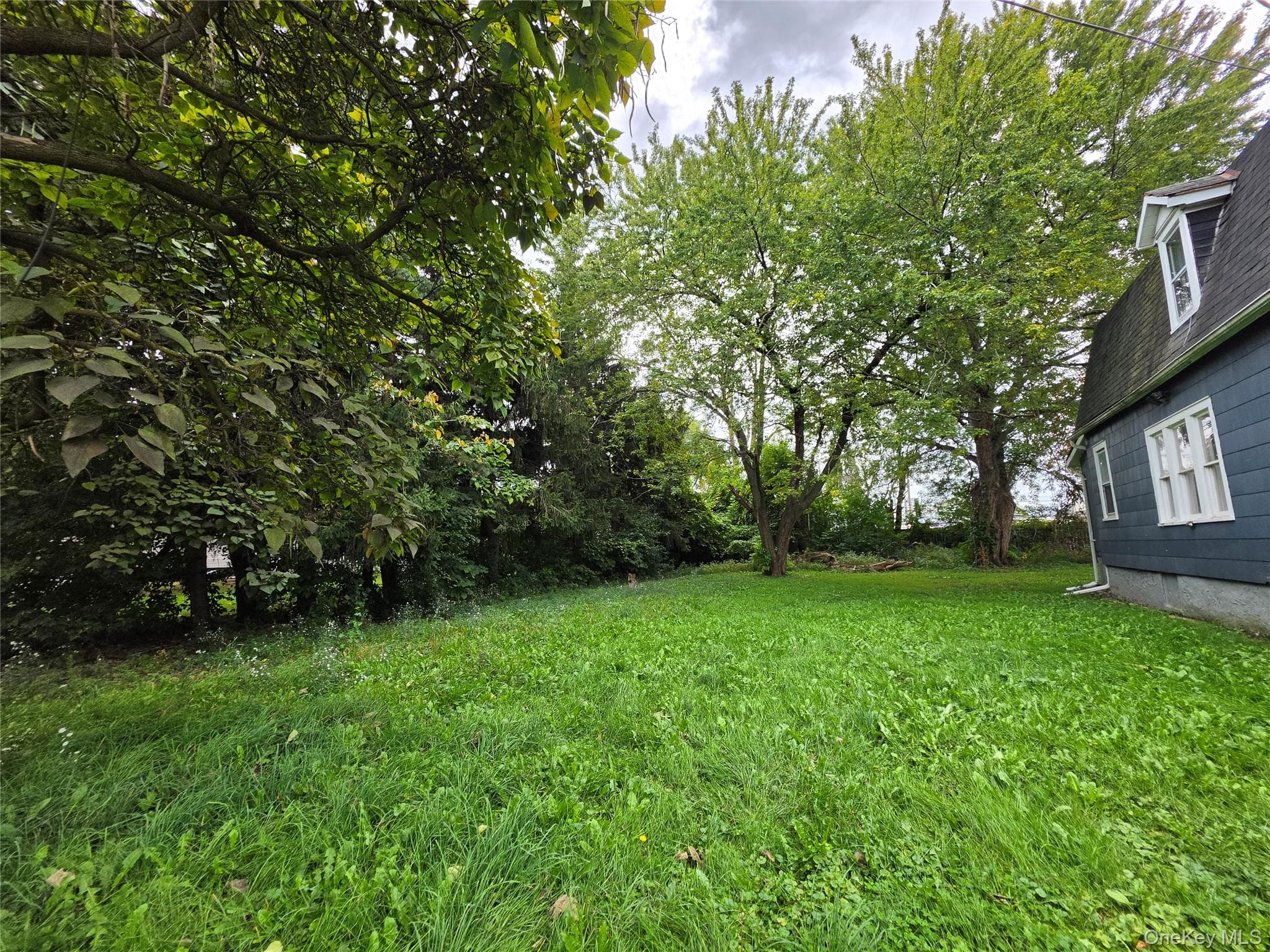 3015 Birch Avenue thumbnail 6