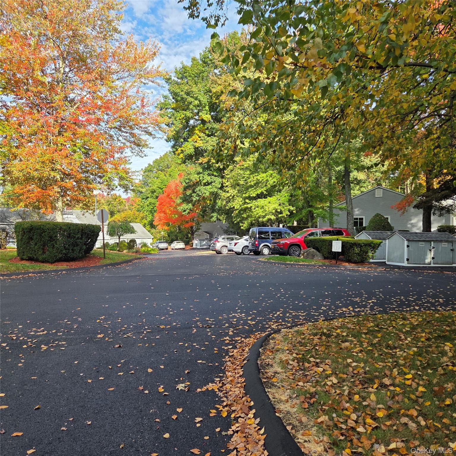 163 Carriage Court Unit: A thumbnail 15
