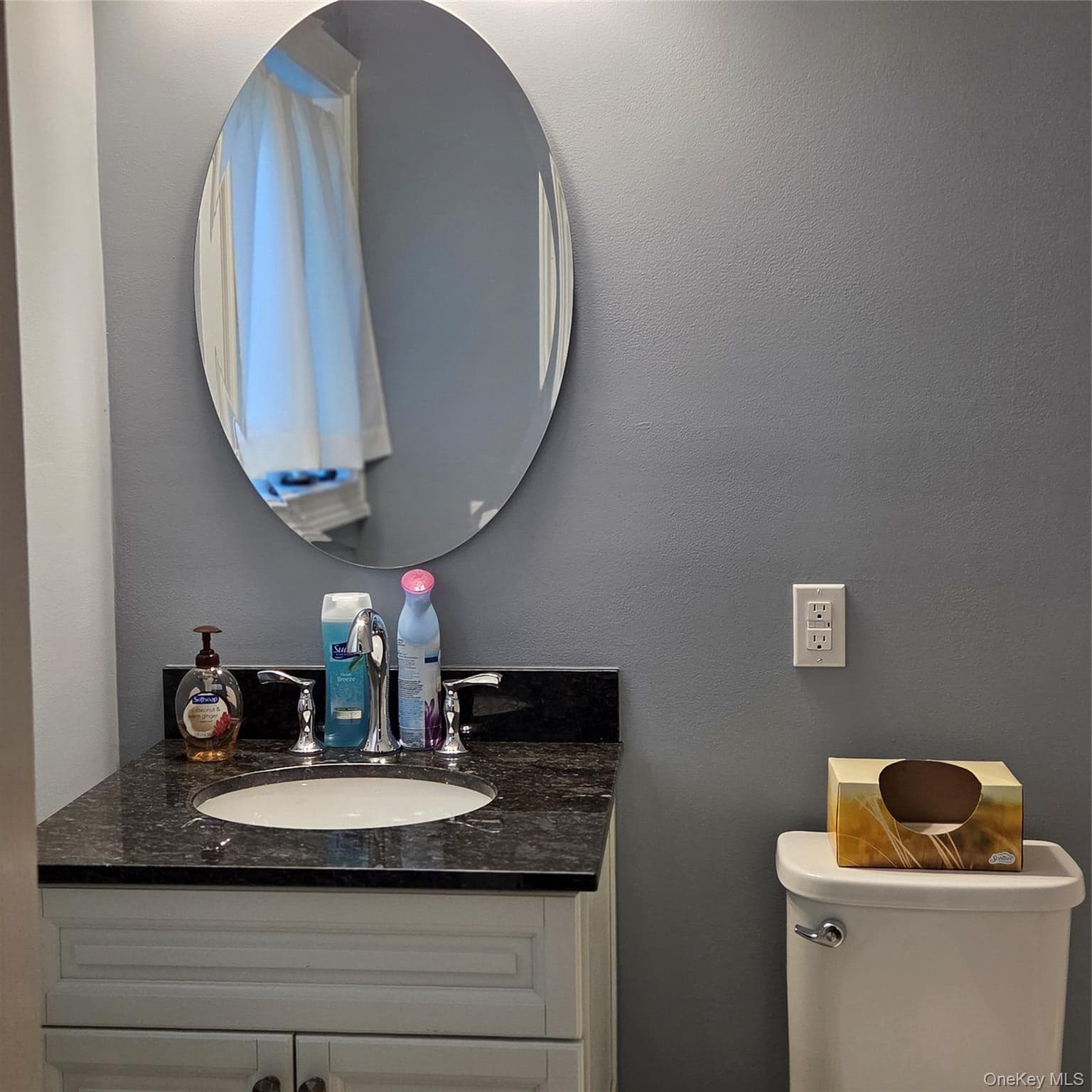 163 Carriage Court Unit: A thumbnail 9