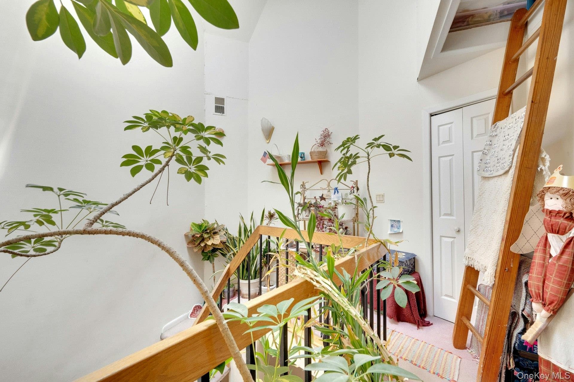 309 Pelham Road thumbnail 10