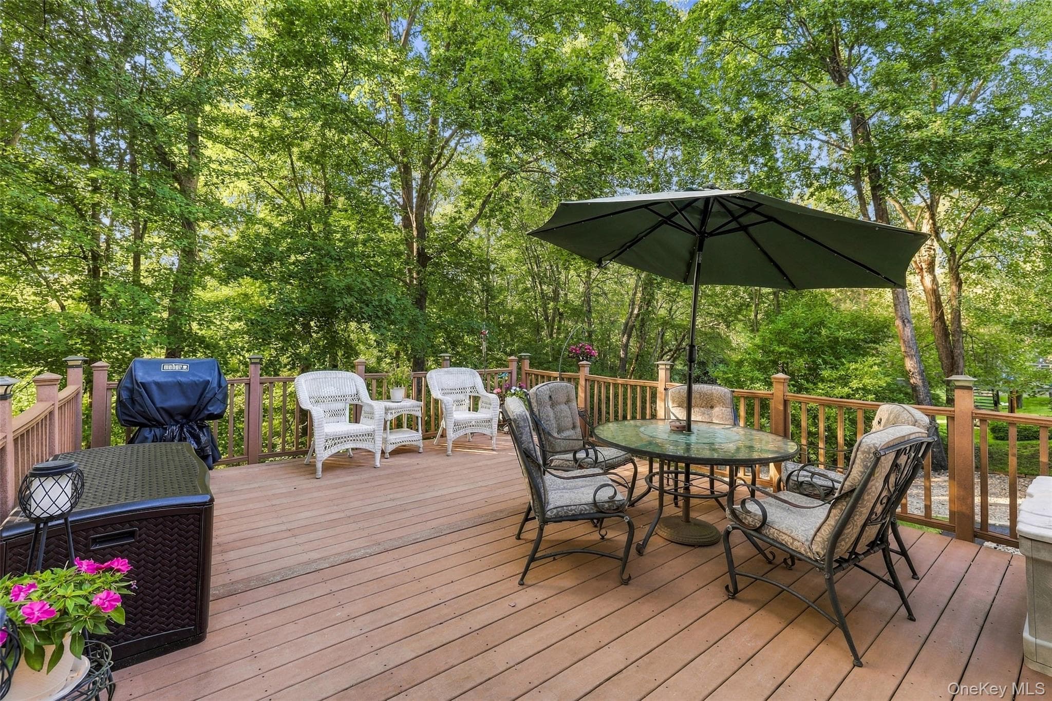 3507 Strang Boulevard thumbnail 23