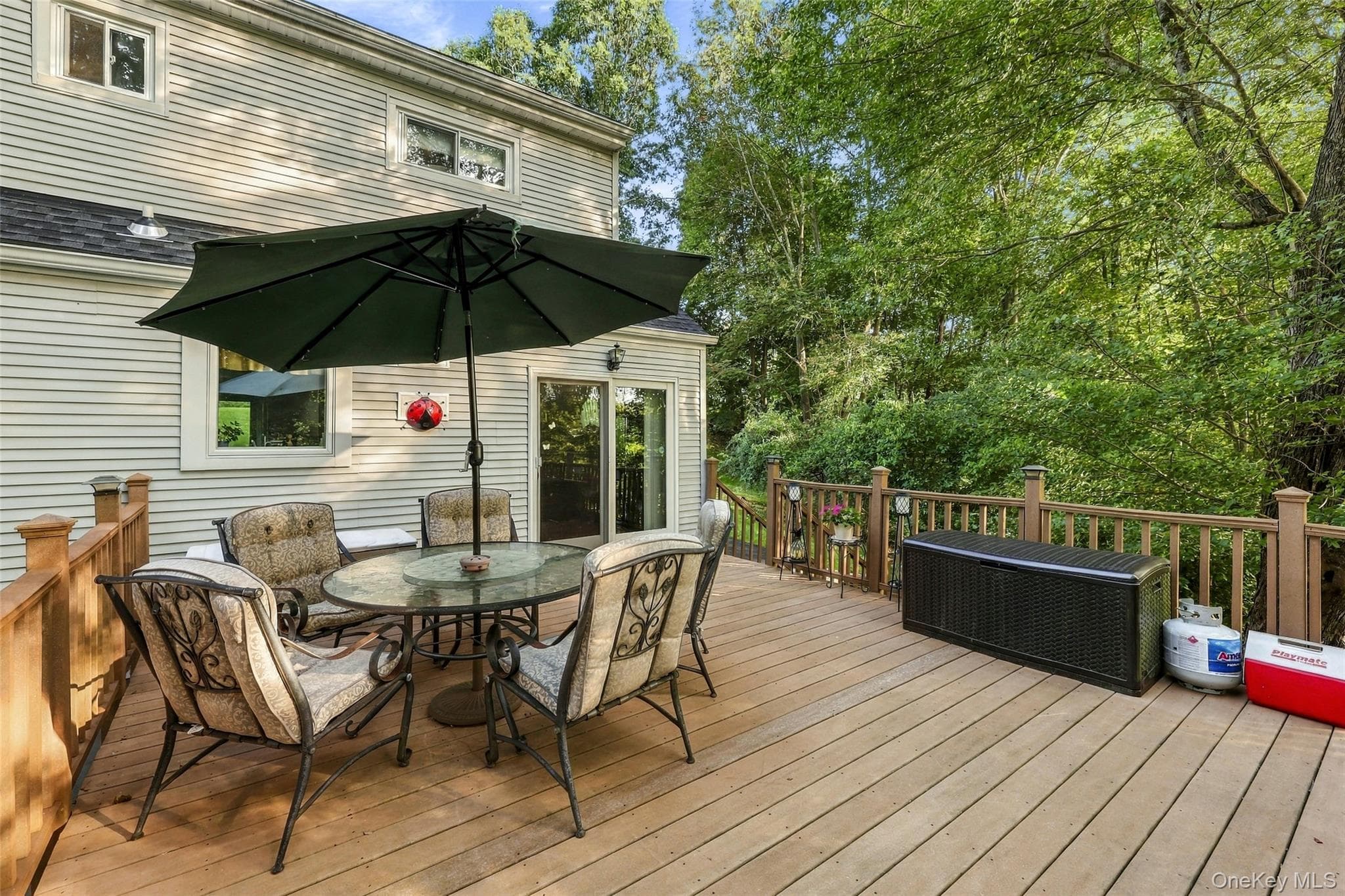 3507 Strang Boulevard thumbnail 25