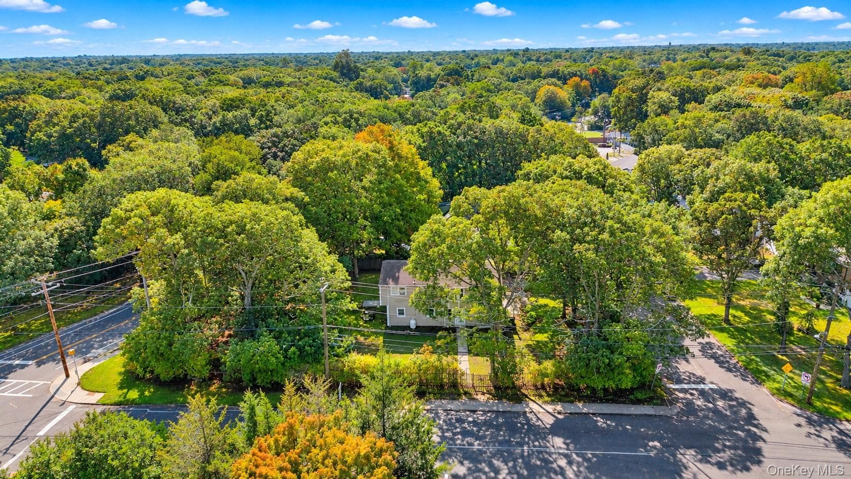 45 Robinwood Street thumbnail 30