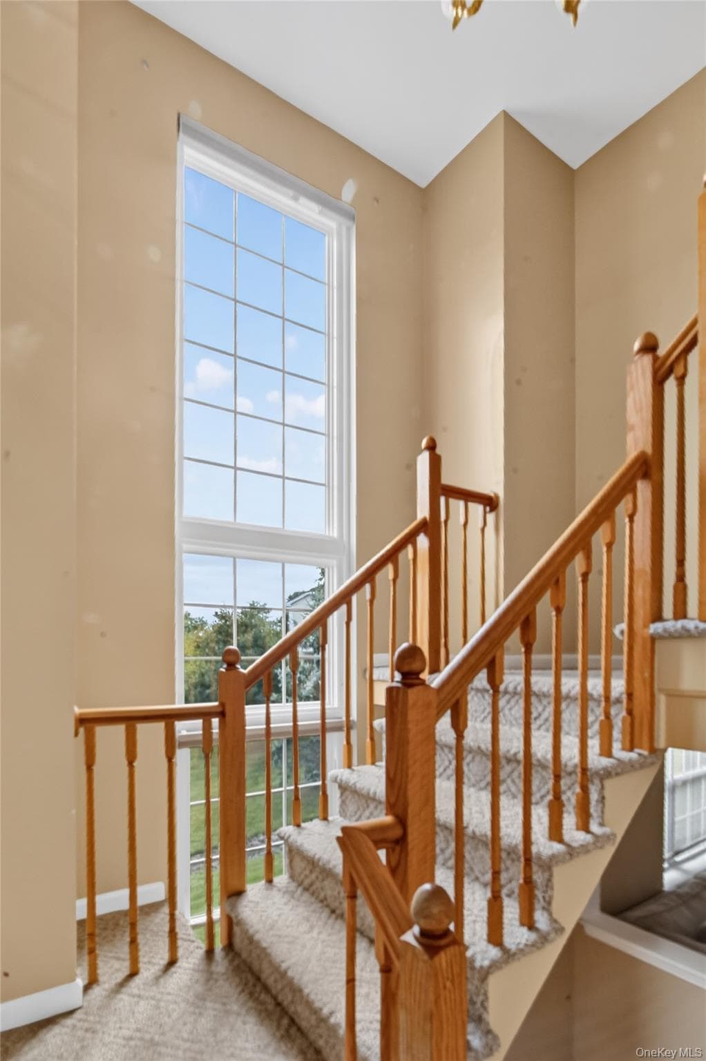 115 Delafield Lane thumbnail 4