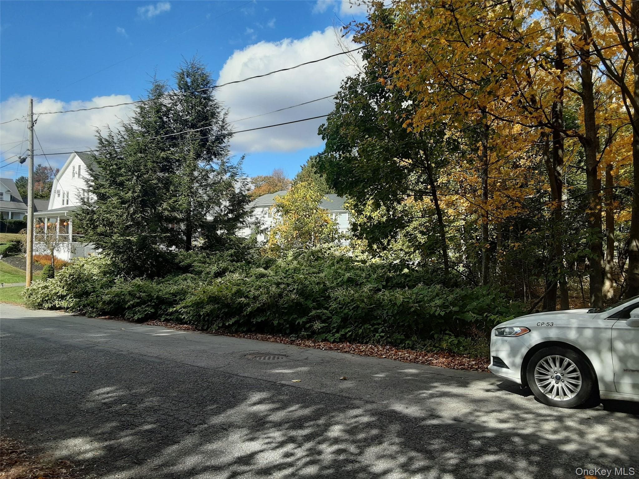 Woodland Avenue thumbnail 2