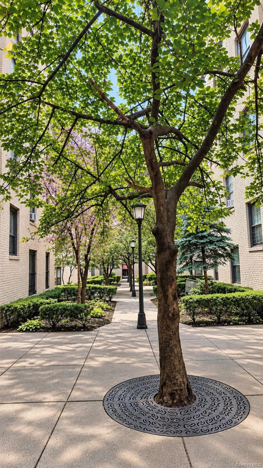 21-38 35th Street Unit: 2C thumbnail 2