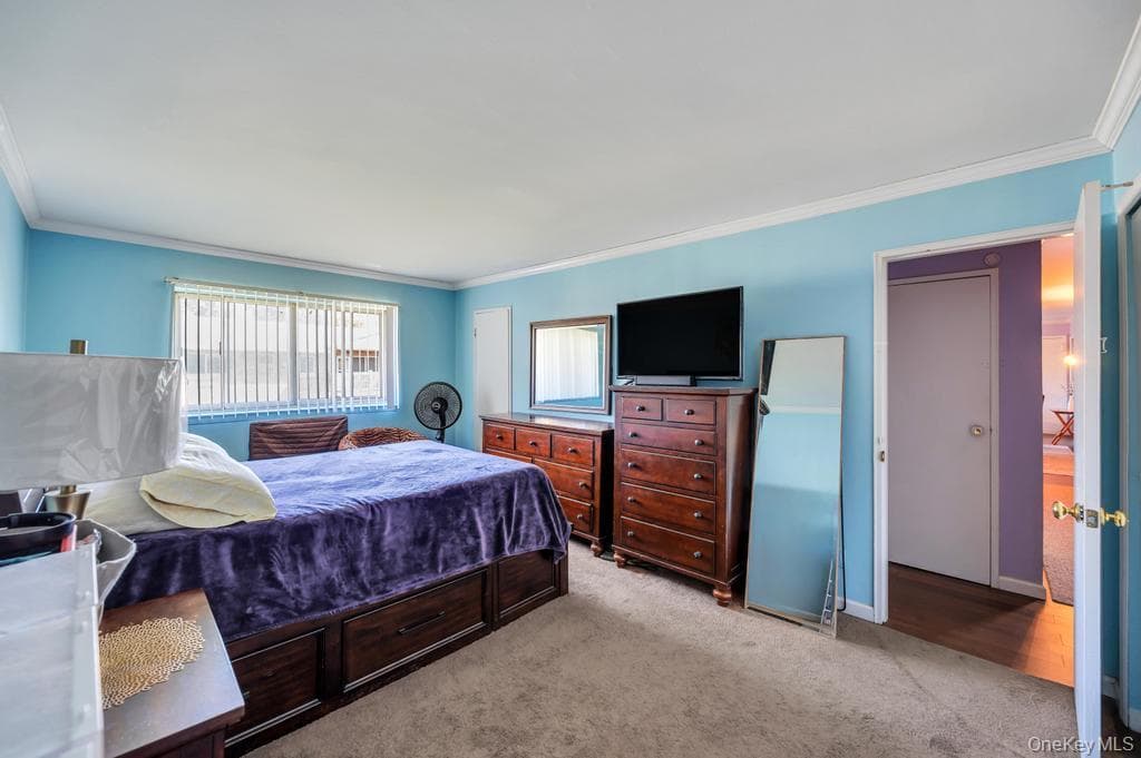 57 Adams Road Unit: 2D thumbnail 11