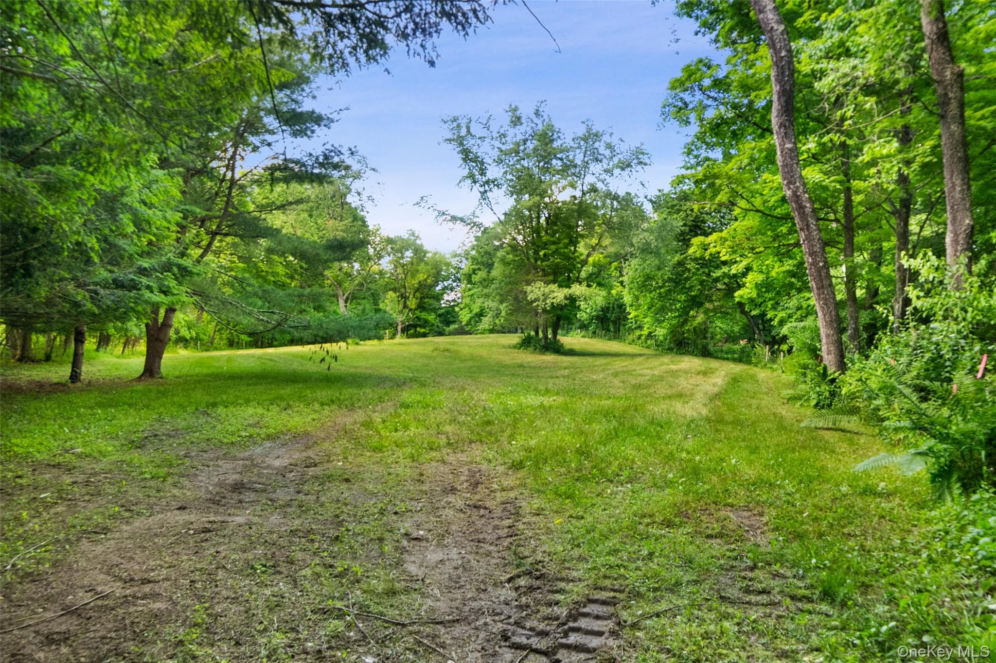 73 Lake Ellis Road thumbnail 36