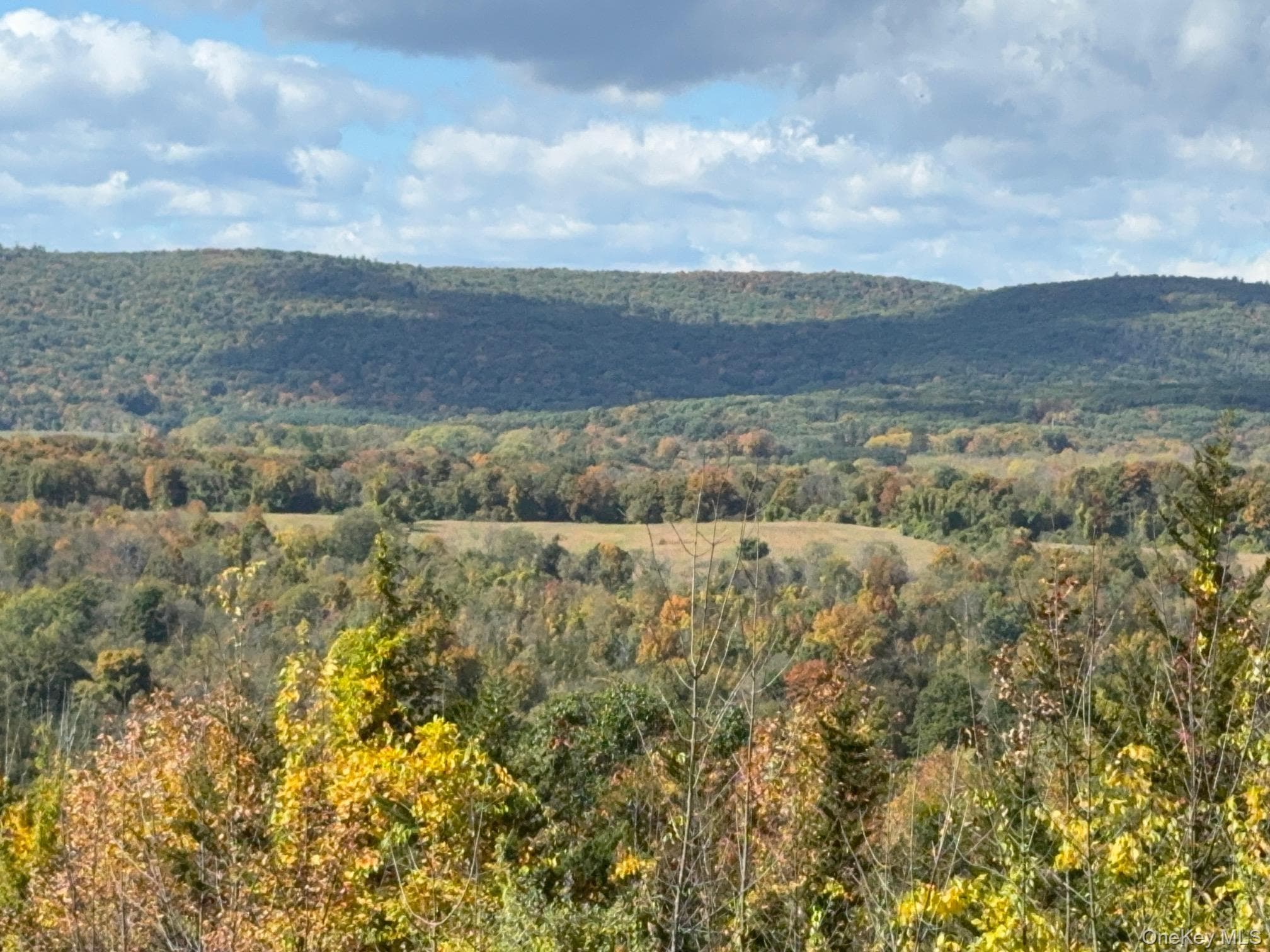 Lot # 11 Westerly Ridge Drive thumbnail 2