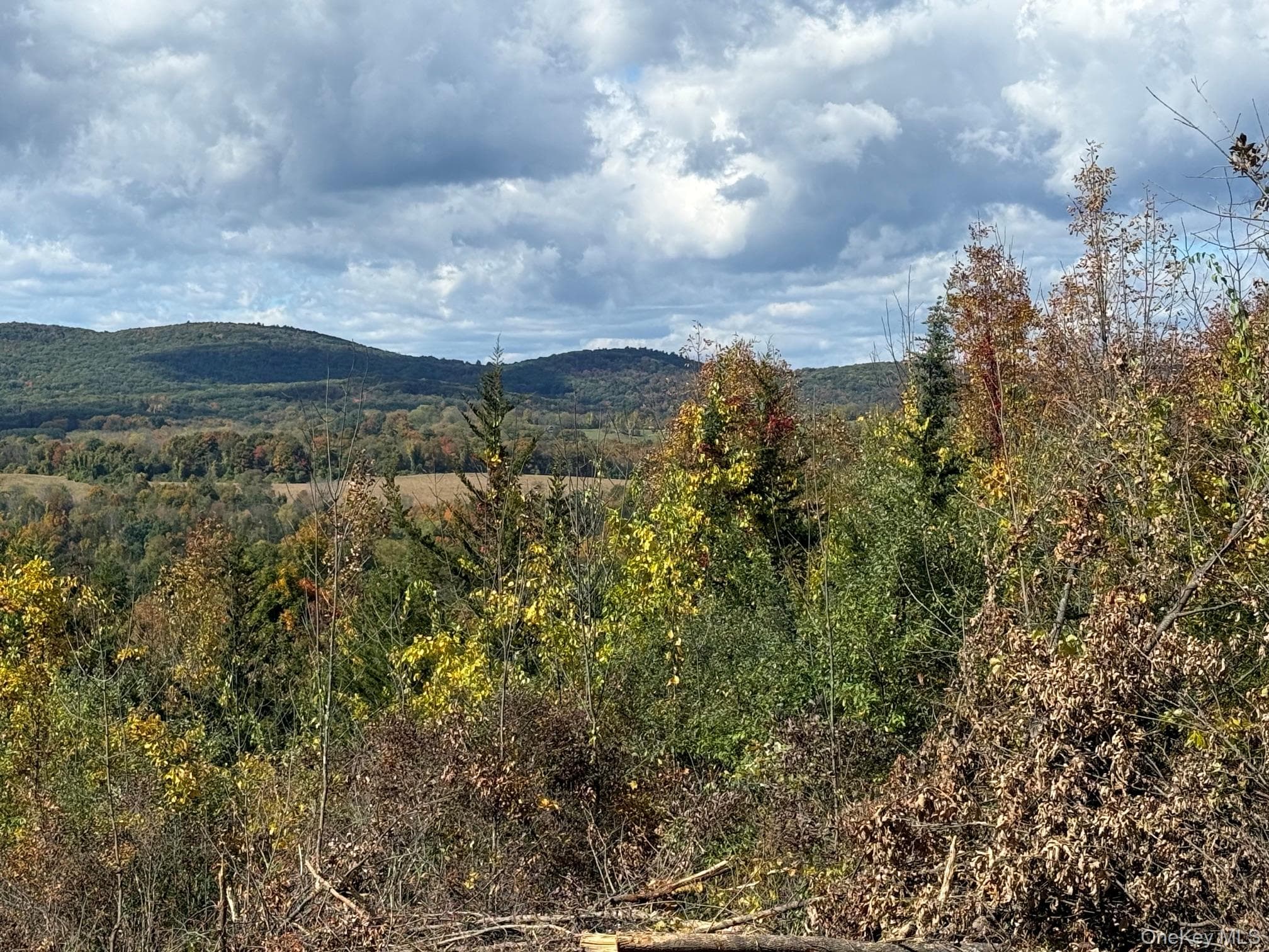Lot # 11 Westerly Ridge Drive thumbnail 12