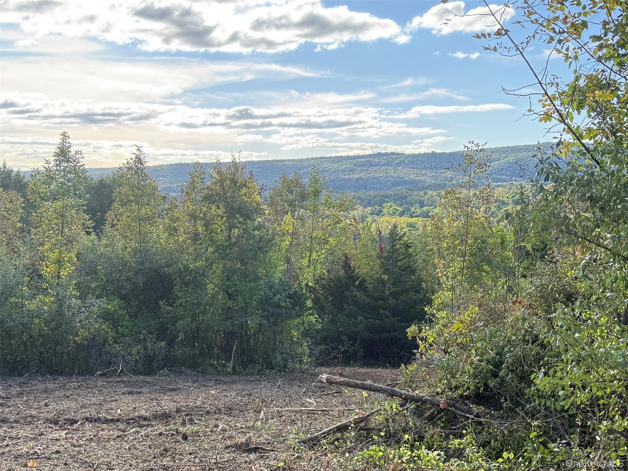 Lot # 11 Westerly Ridge Drive thumbnail 10