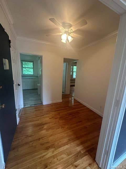 9 Stokes Road Unit: 2B thumbnail 9
