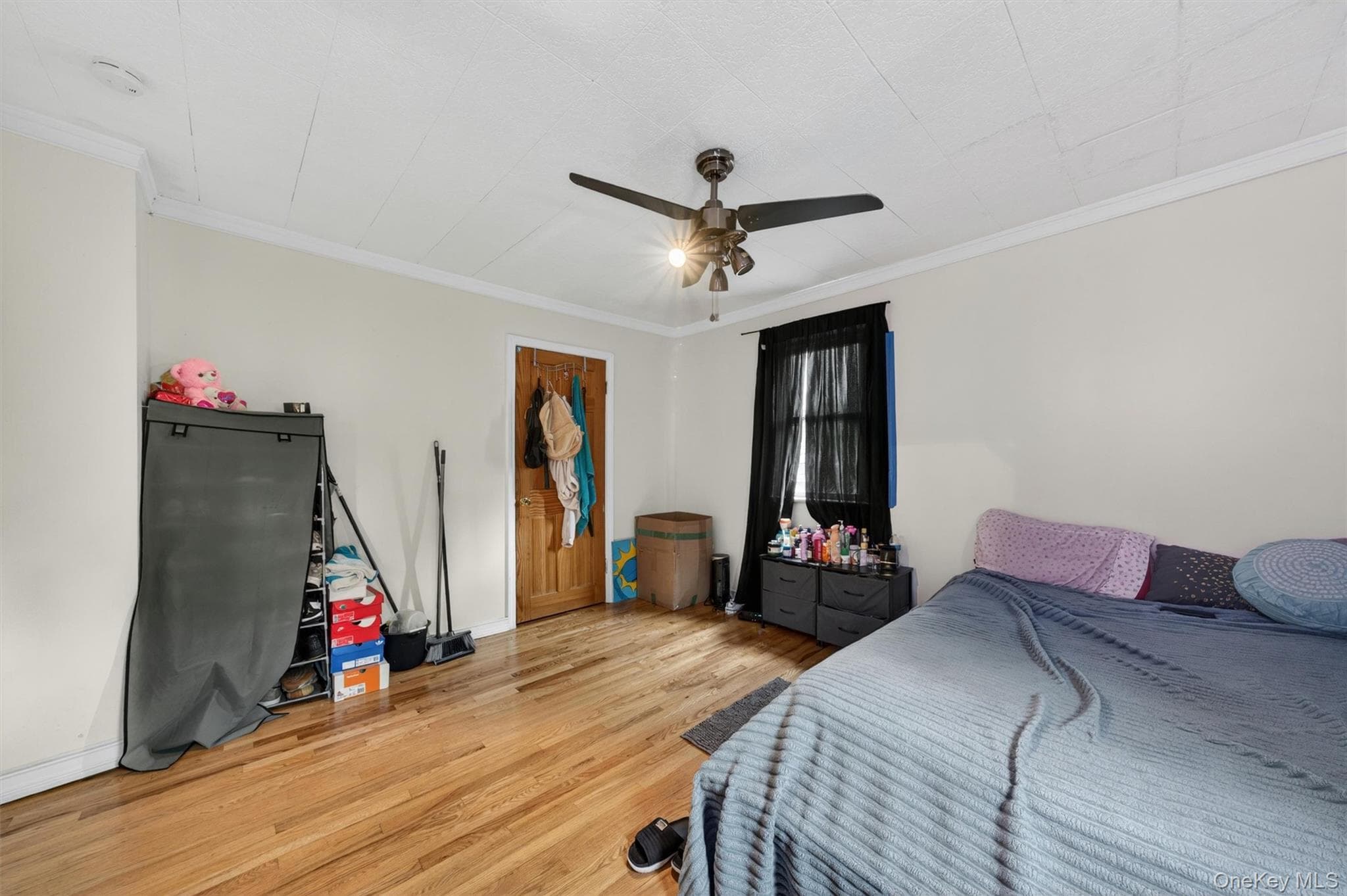 21 Dolson Avenue thumbnail 23