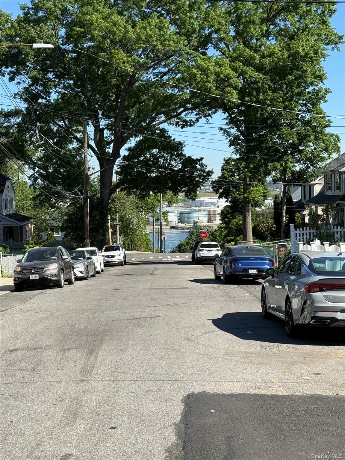 63 Highview Avenue thumbnail 30