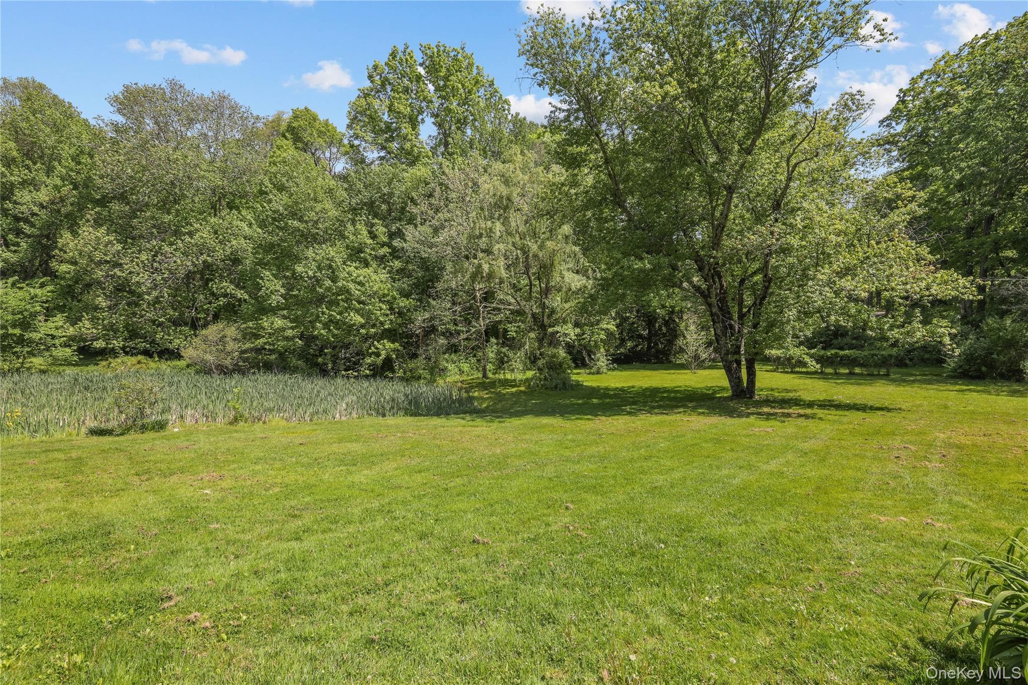 160 Long Ridge Road thumbnail 18