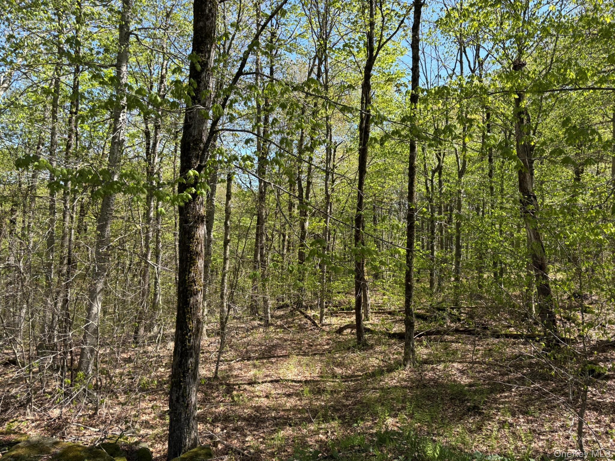 County Hwy 7 thumbnail 3