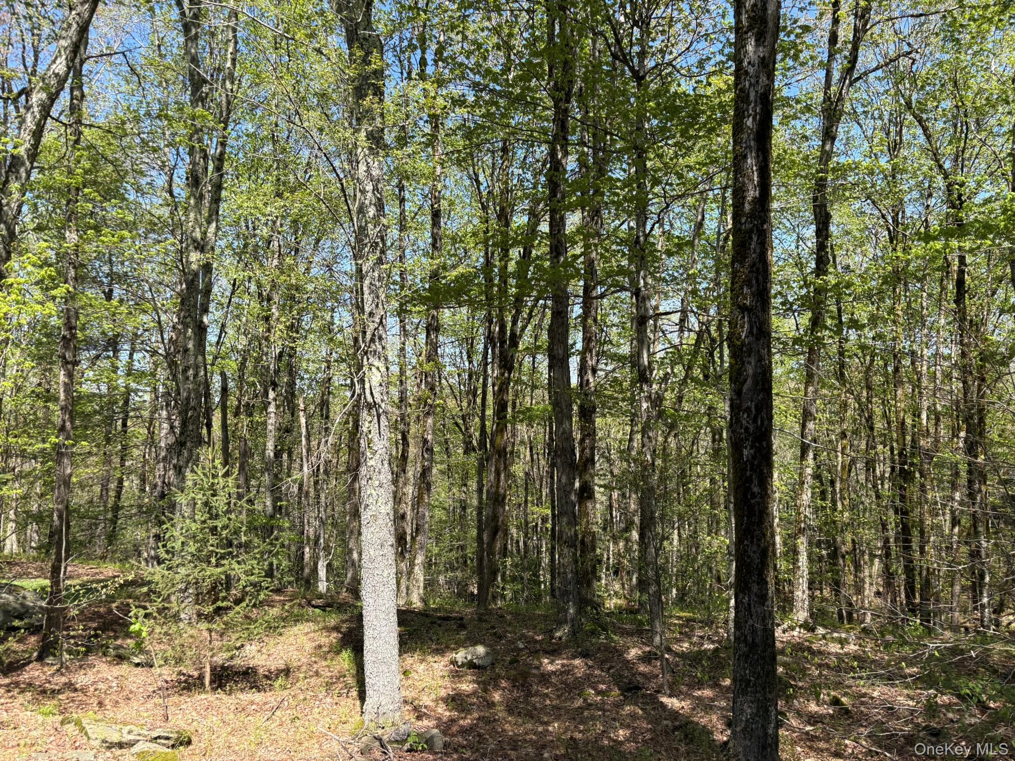 County Hwy 7 thumbnail 2