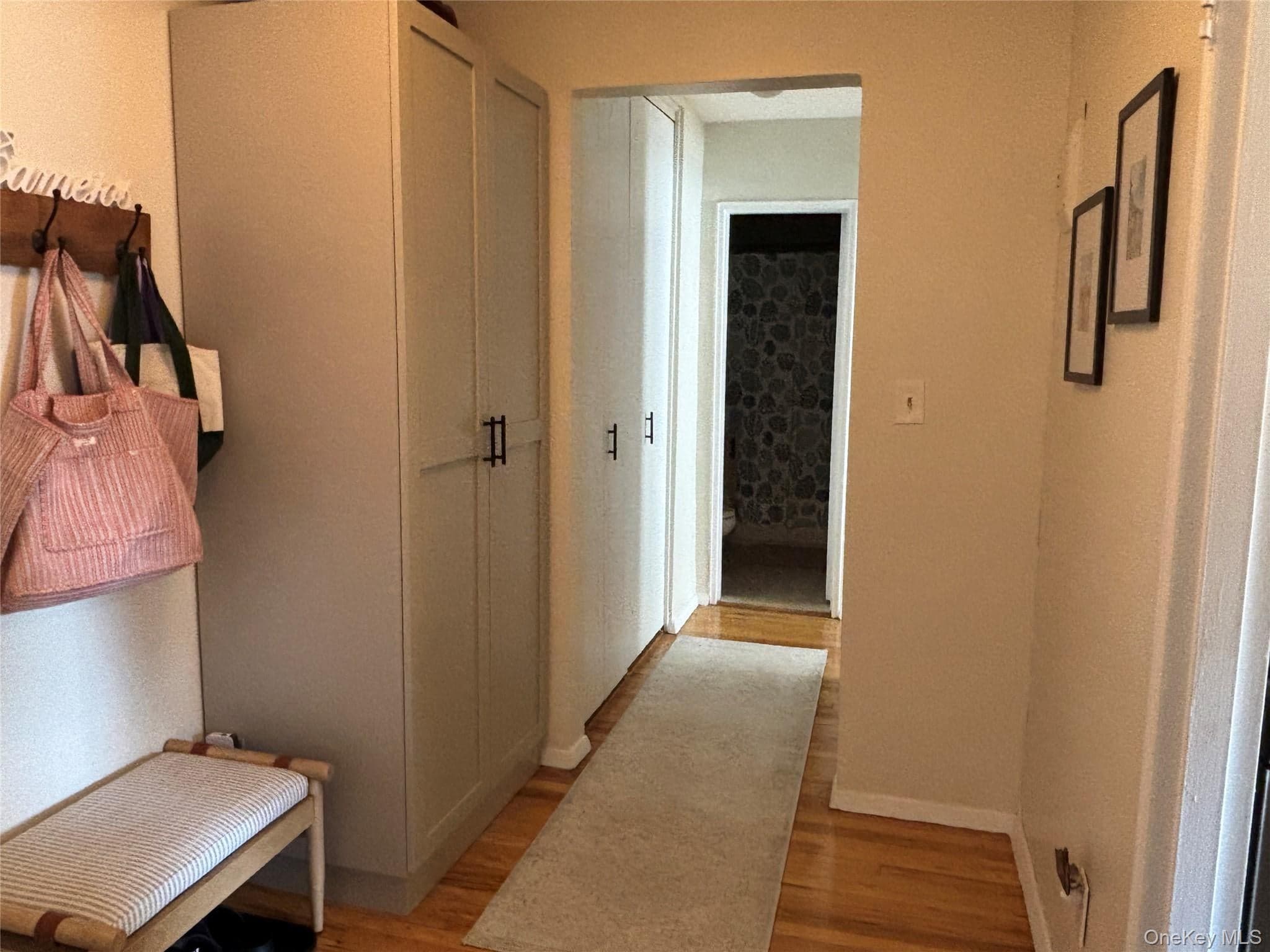 410 E Broadway Unit: 3S thumbnail 9