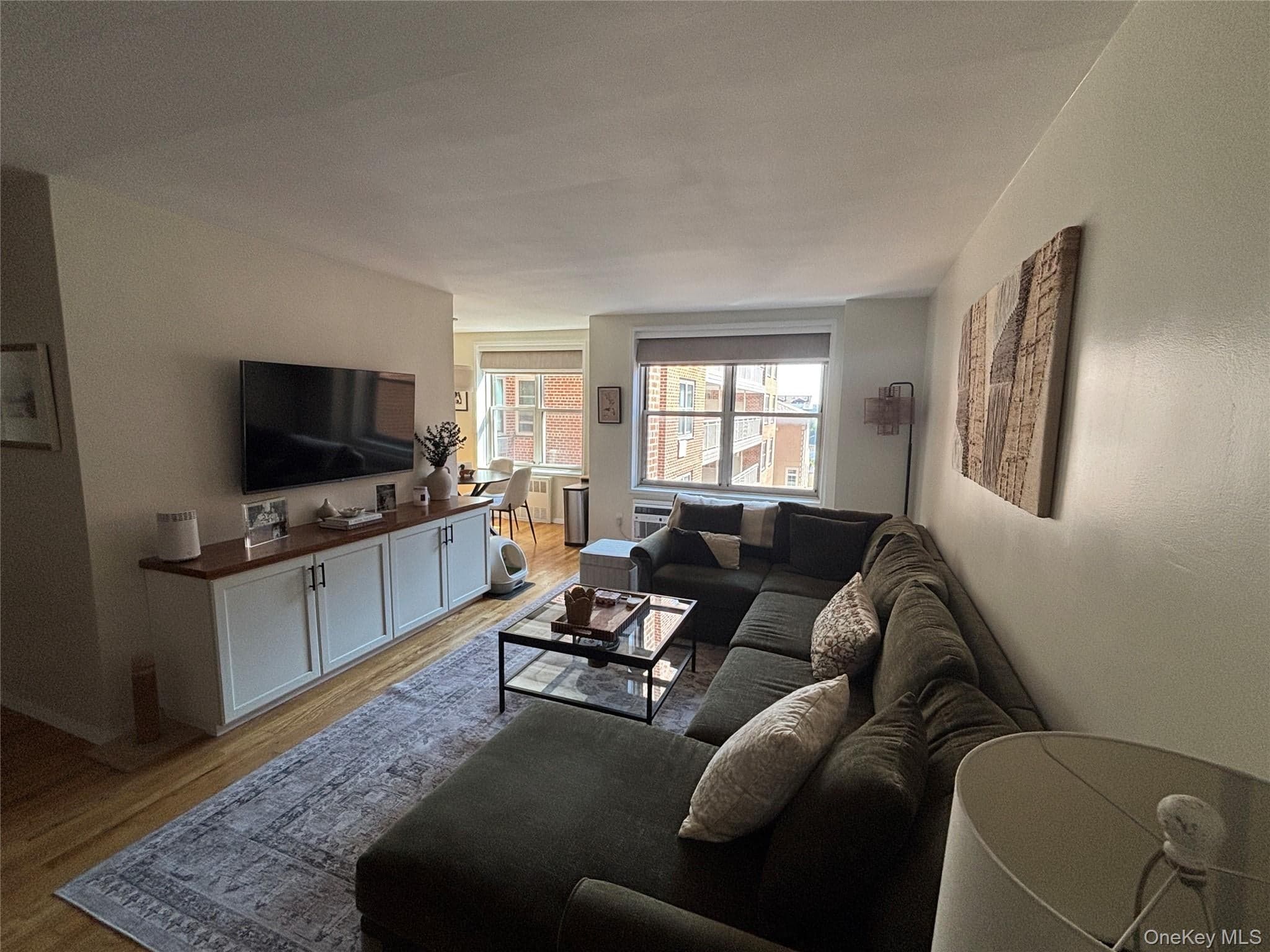 410 E Broadway Unit: 3S thumbnail 4
