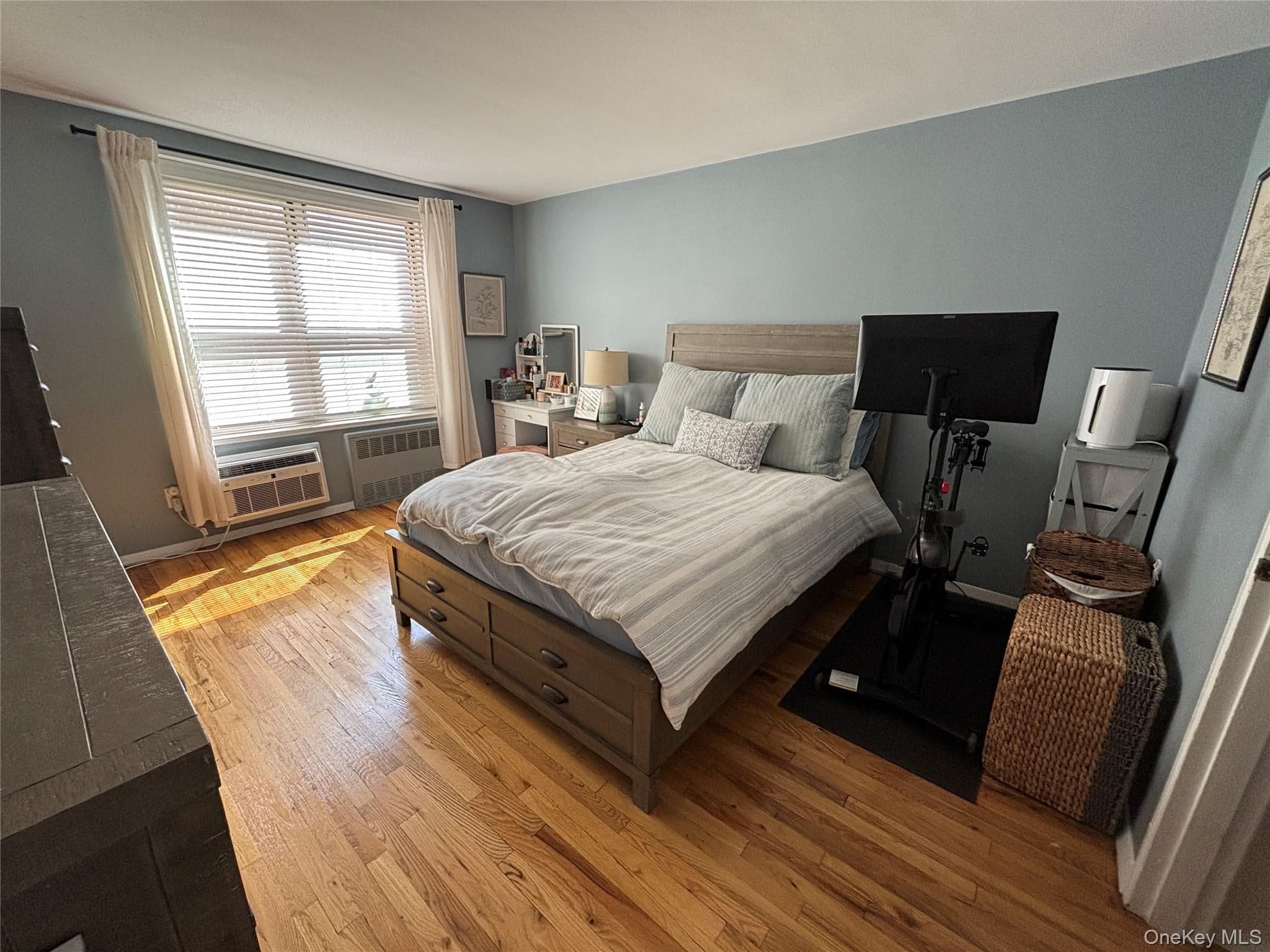 410 E Broadway Unit: 3S thumbnail 10