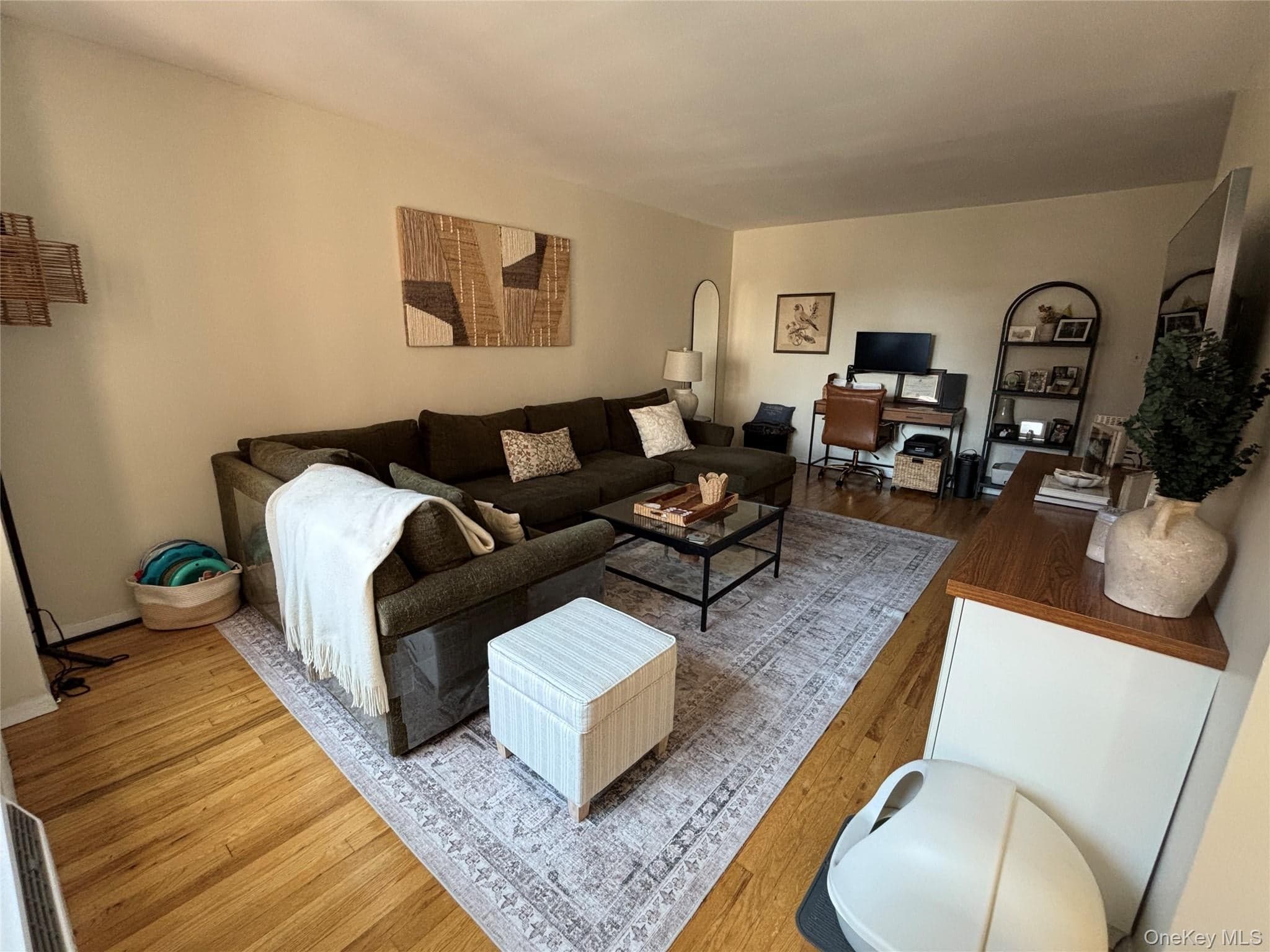 410 E Broadway Unit: 3S thumbnail 3