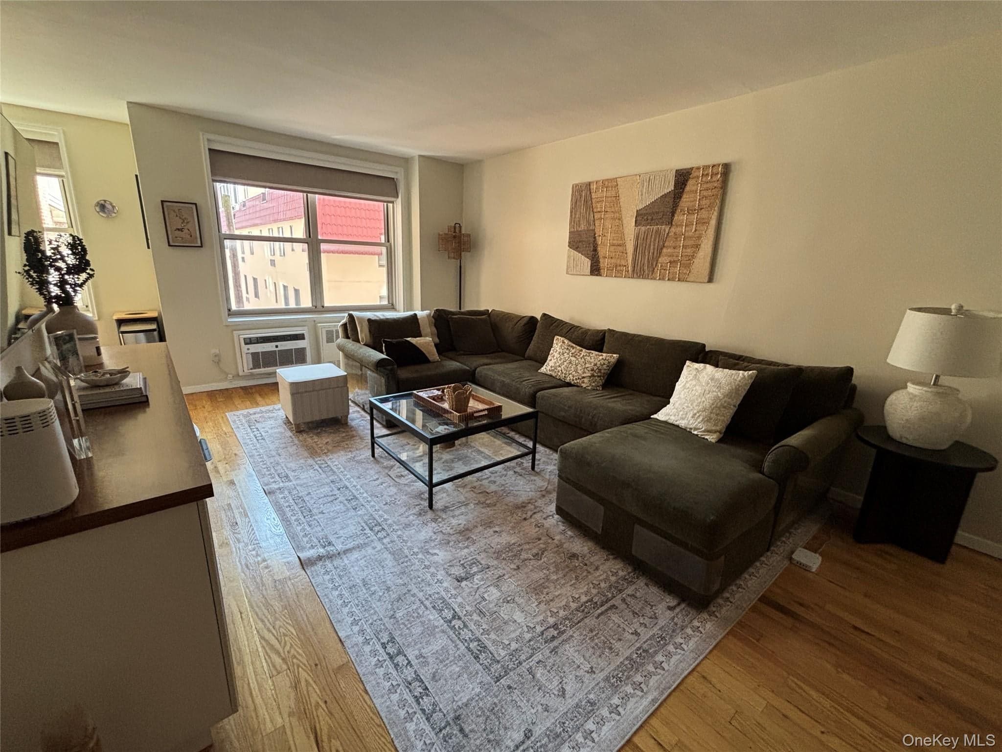 410 E Broadway Unit: 3S thumbnail 5