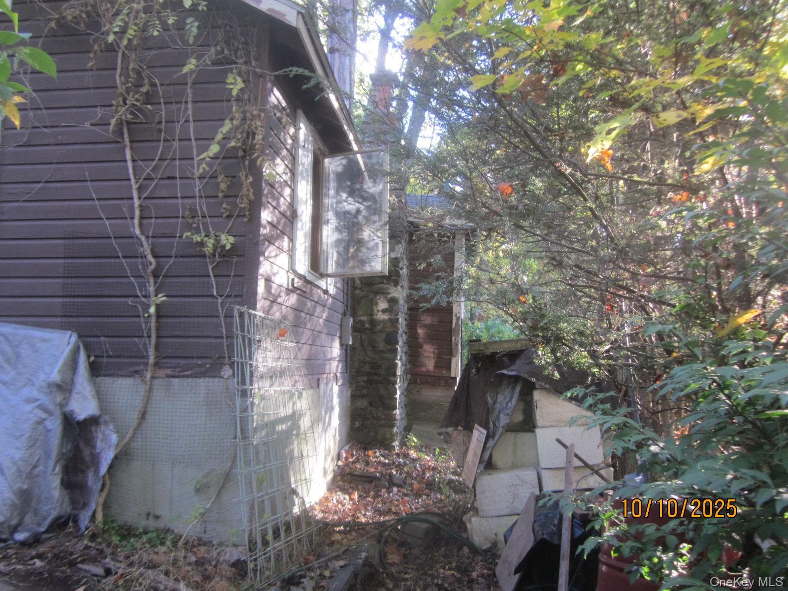 11 Woodland Circle thumbnail 4